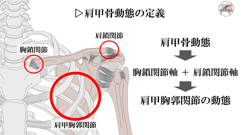 肩　その機能と臨床 肩その機能と臨床_立ち読み