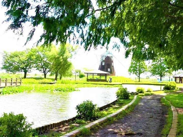 画像
