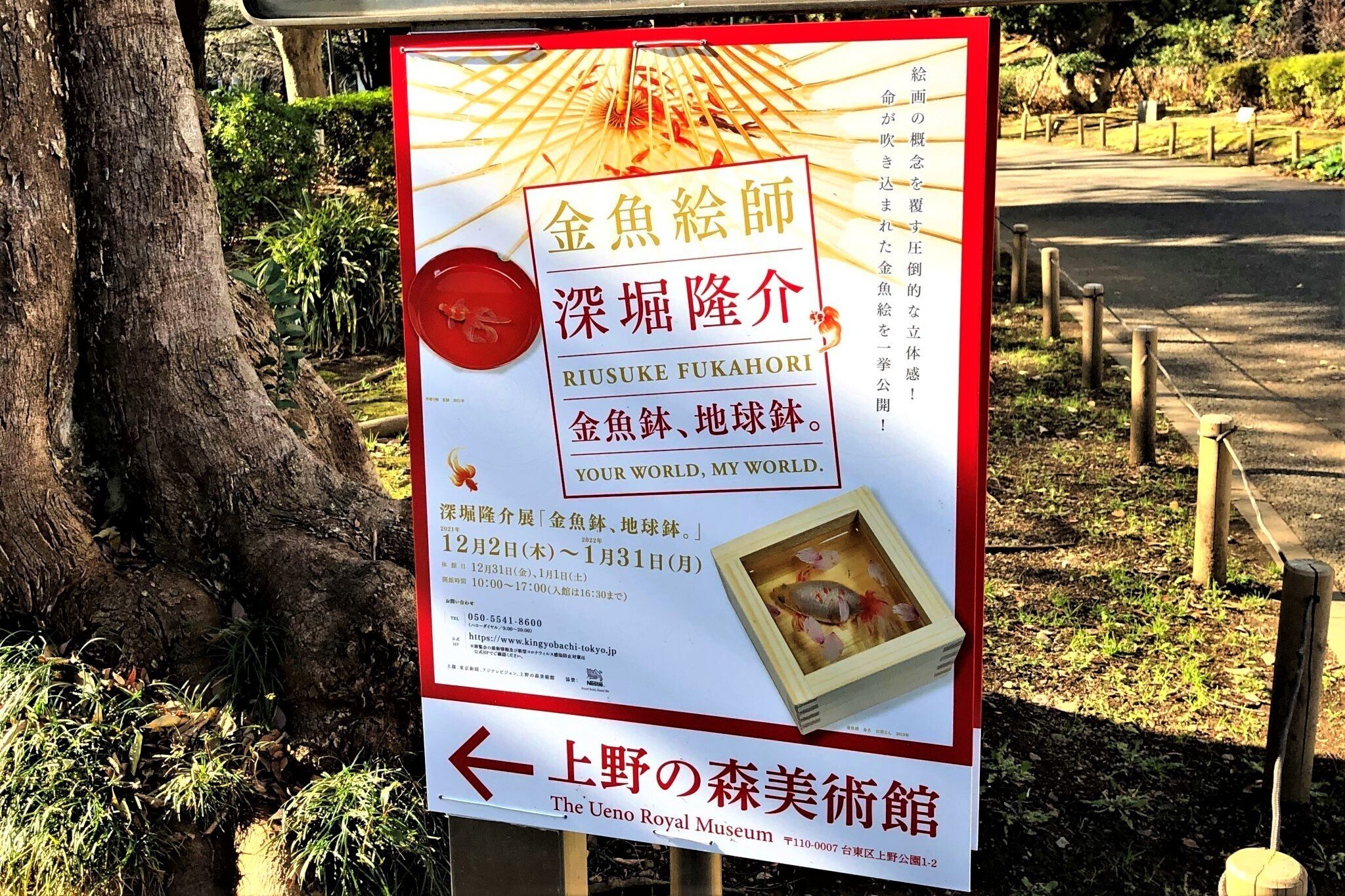 深堀隆介展[金魚解禁 日本橋]~8月8日@日本橋三越本店｜Abbey -旅する