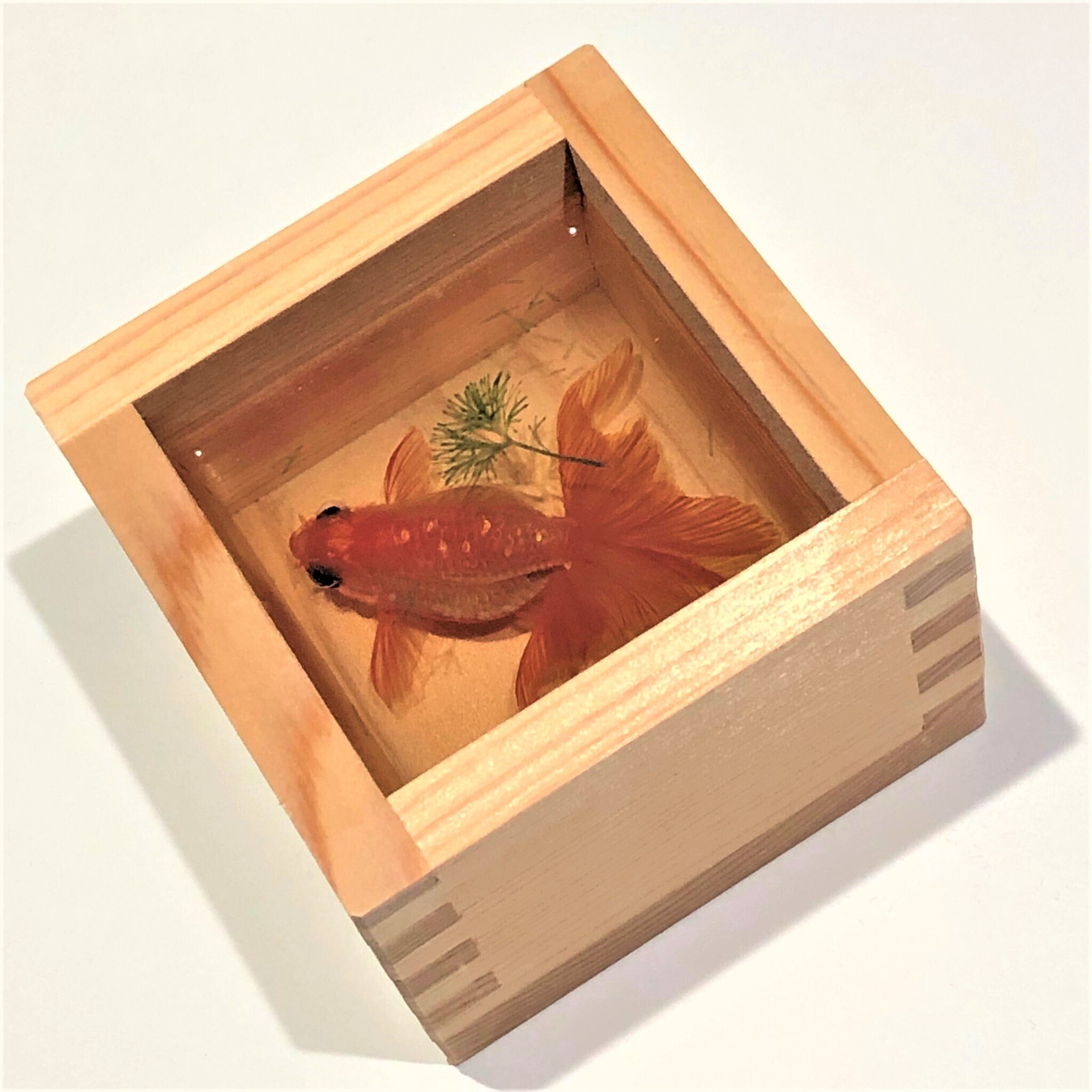 深堀隆介展[金魚解禁 日本橋]~8月8日@日本橋三越本店｜Abbey -旅する