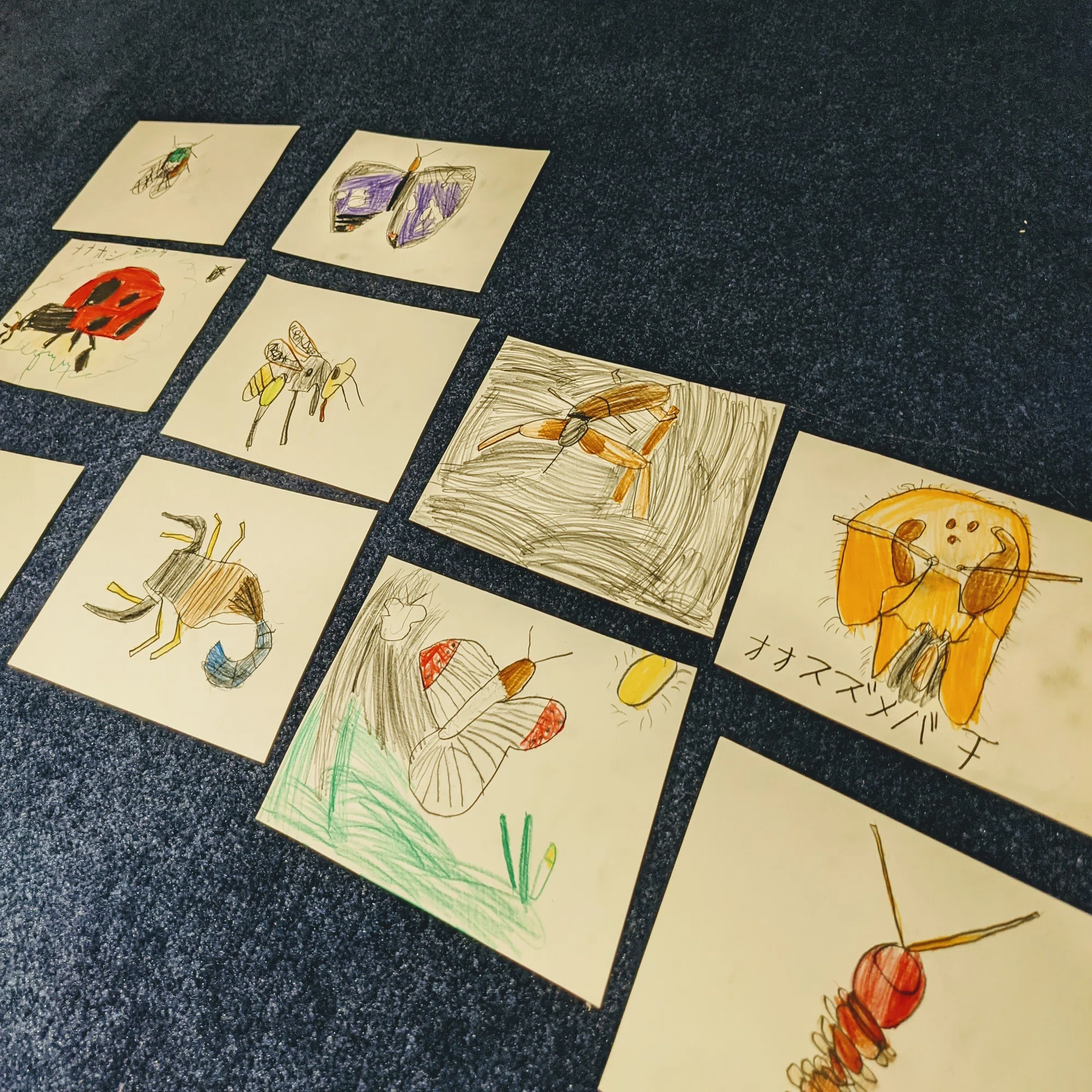 6歳の息子と取り組んだ「マイオリジナル図鑑づくり」｜ヒマラボさん