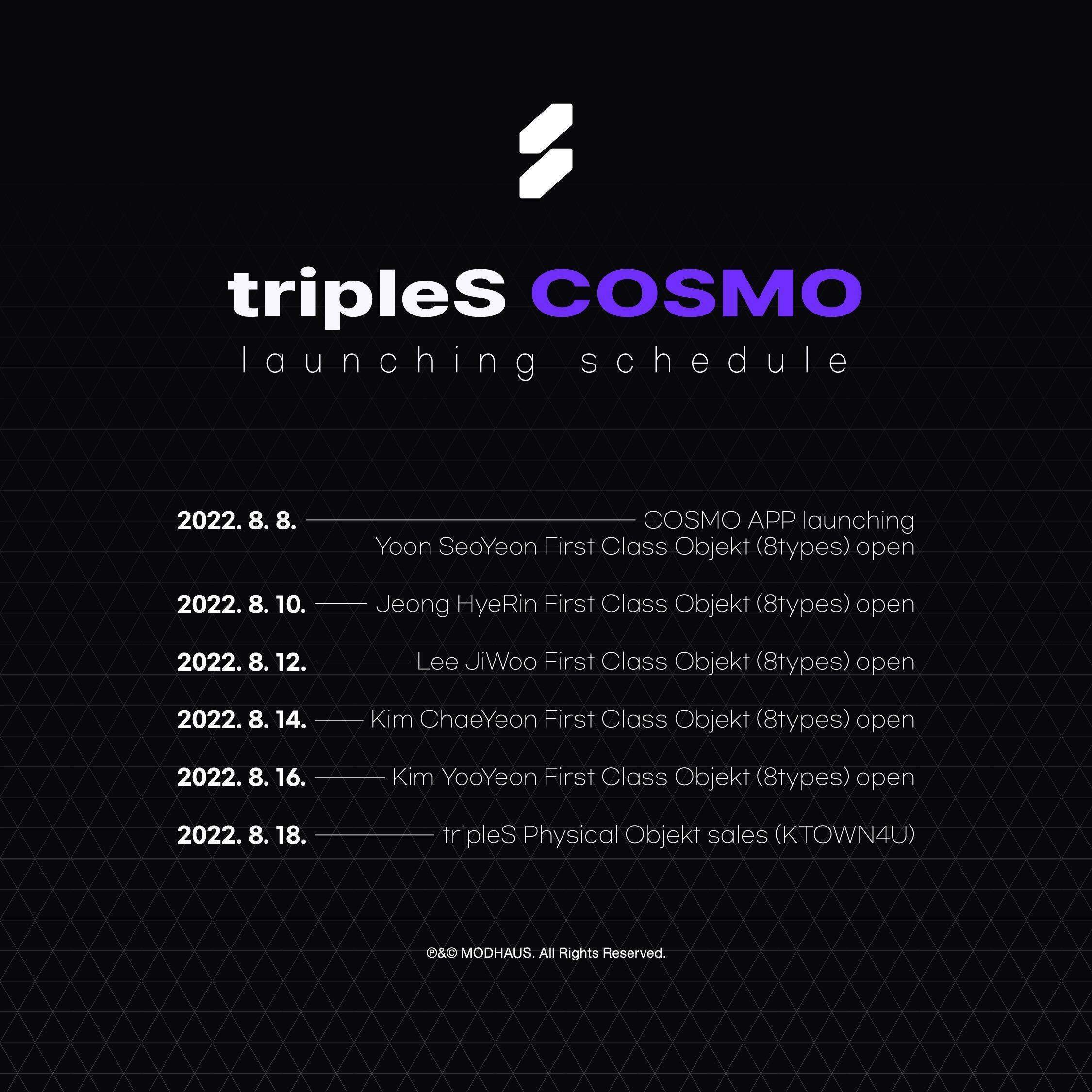 動き出したtripleS「オブジェクト」とは？～ビョンギさんの私の