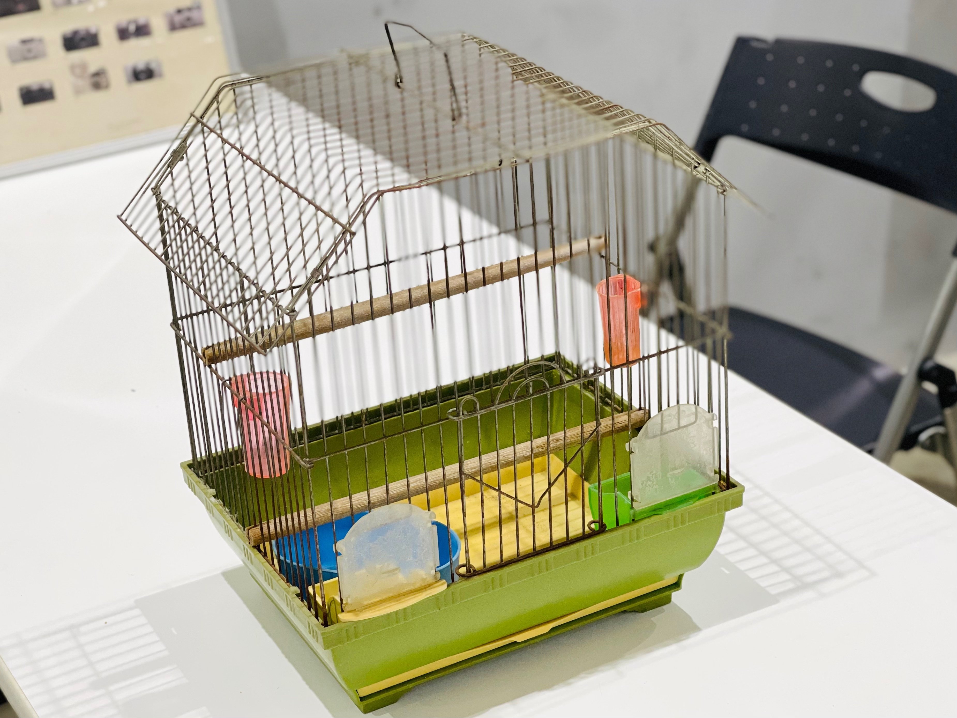 鳥籠 楽天市場】鳥かご レジーナ アンティークブラス Regina 鳥籠 ケージ