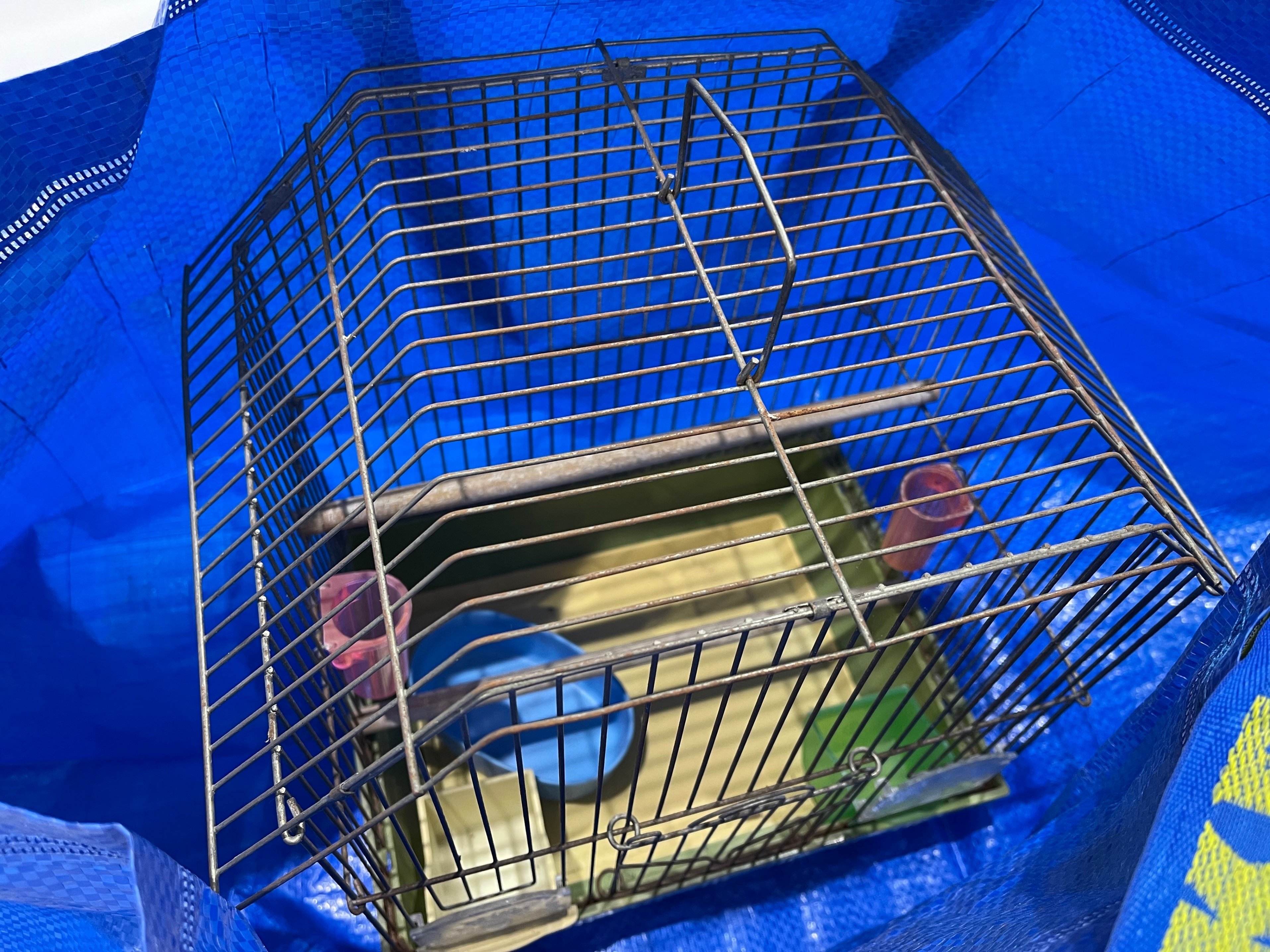 骨董市で鳥籠を買った話｜中村ナツ子