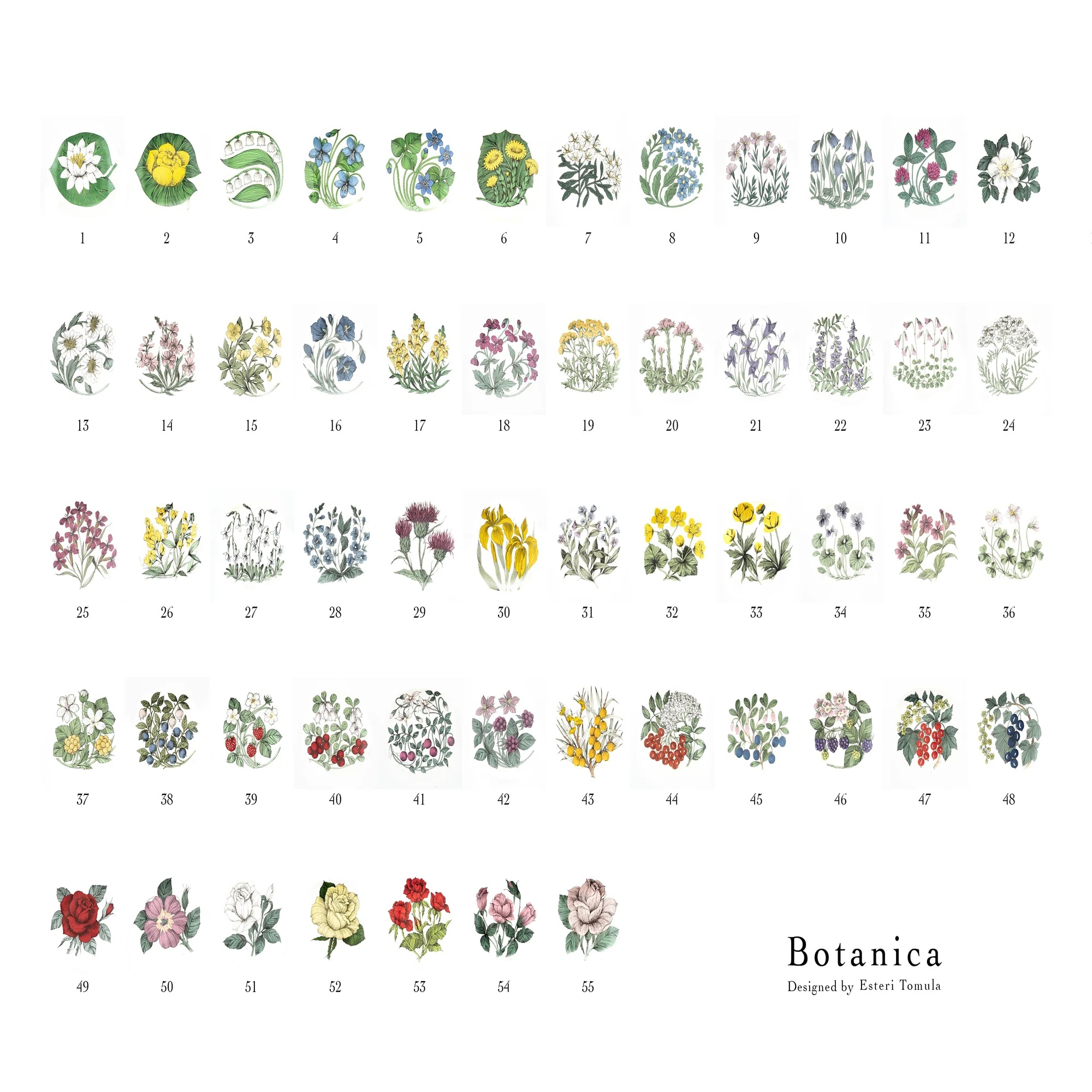Botanicaシリーズ｜lumikka