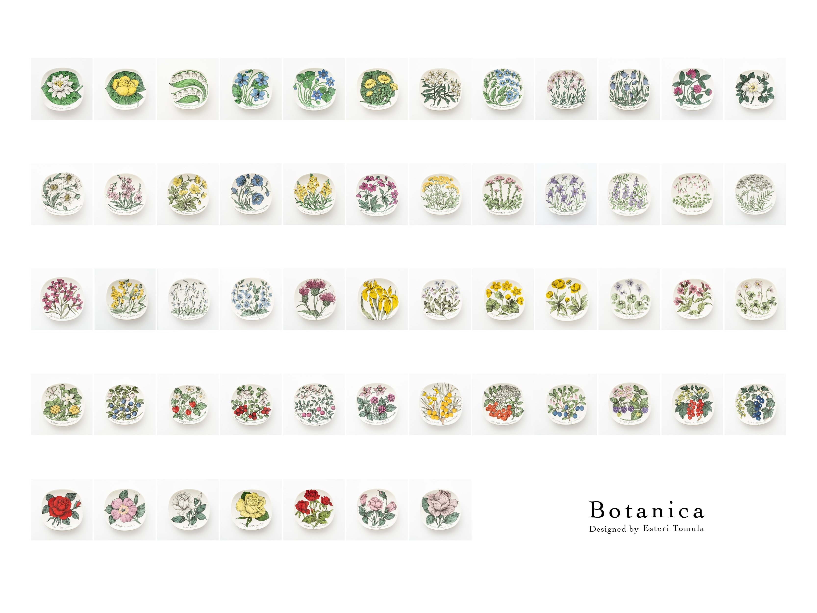【オリジナル箱入り】アラビア Botanica（ボタニカ）シリーズプレート③ オリジナル箱入り】アラビア Botanica（ボタニカ）シリーズ