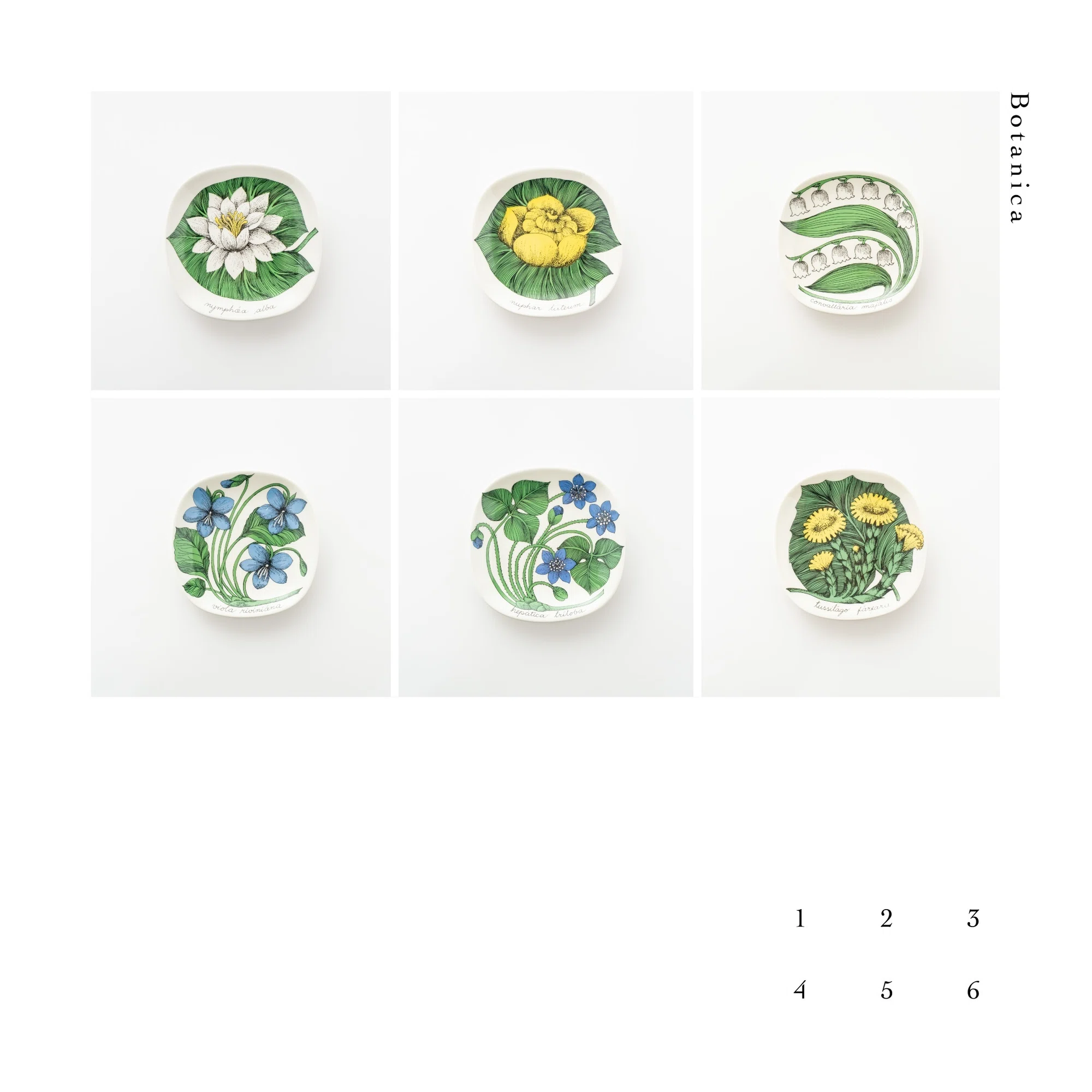 Botanicaシリーズ｜lumikka