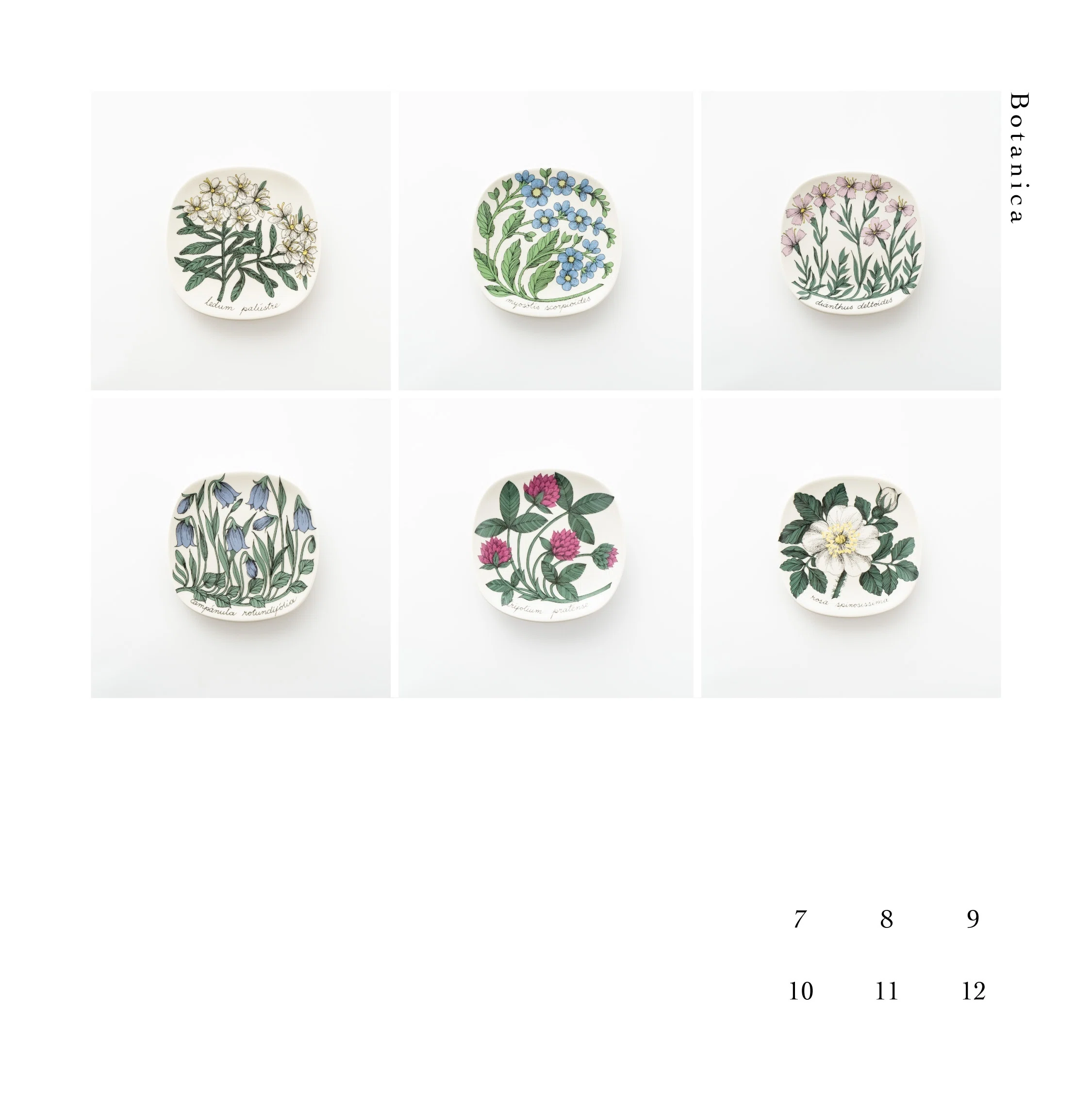 Botanicaシリーズ｜lumikka