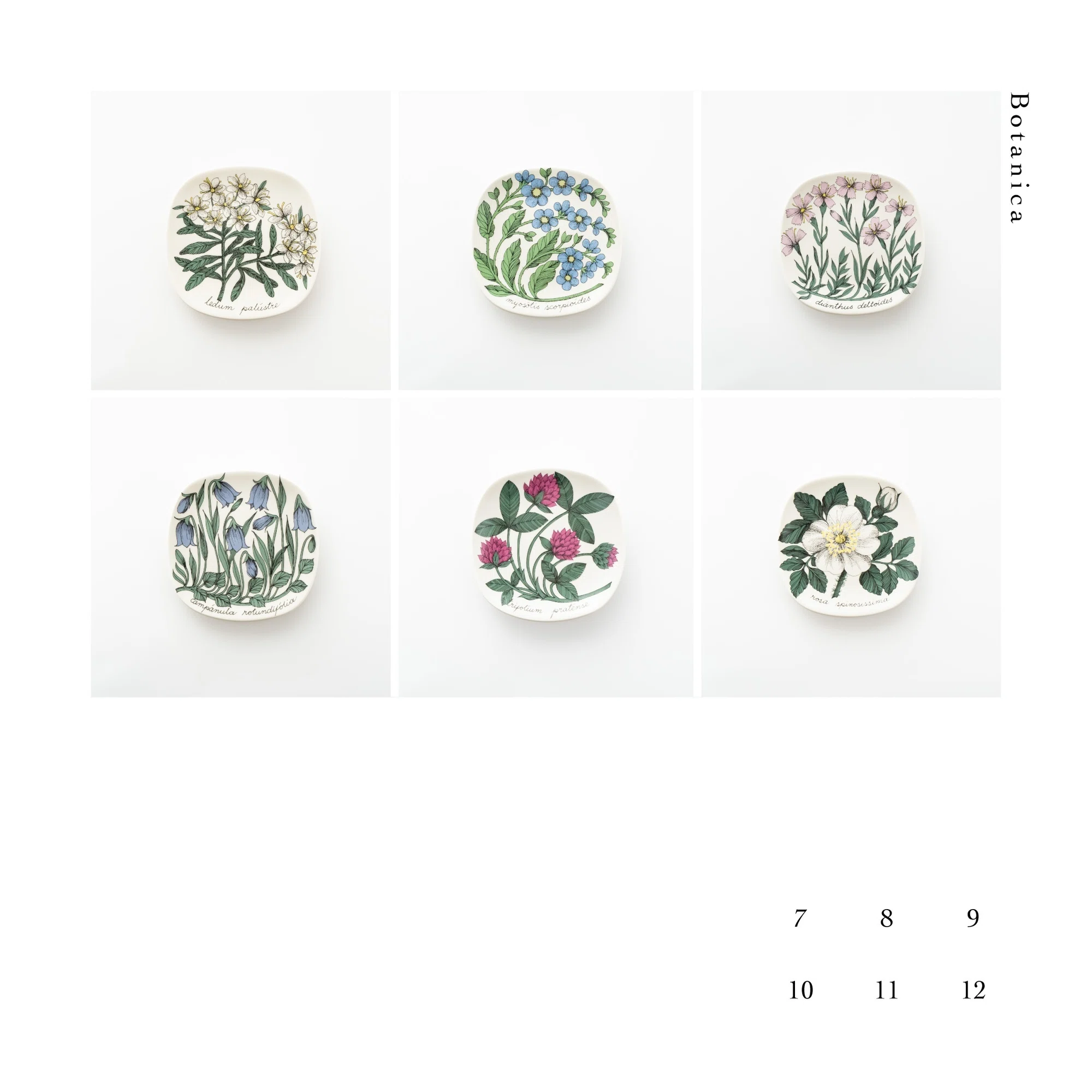 Botanicaシリーズ｜lumikka