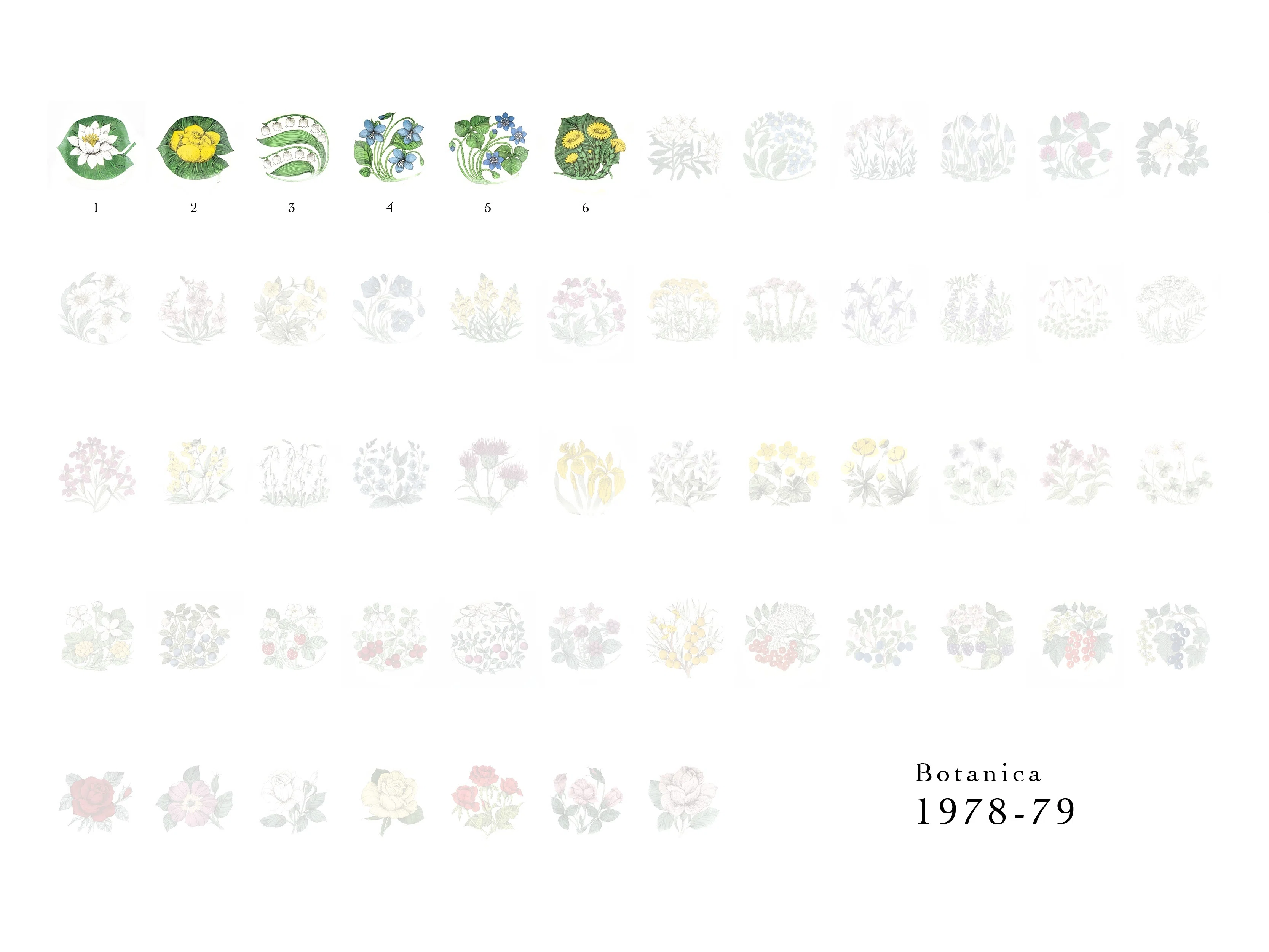 Botanicaシリーズ｜lumikka