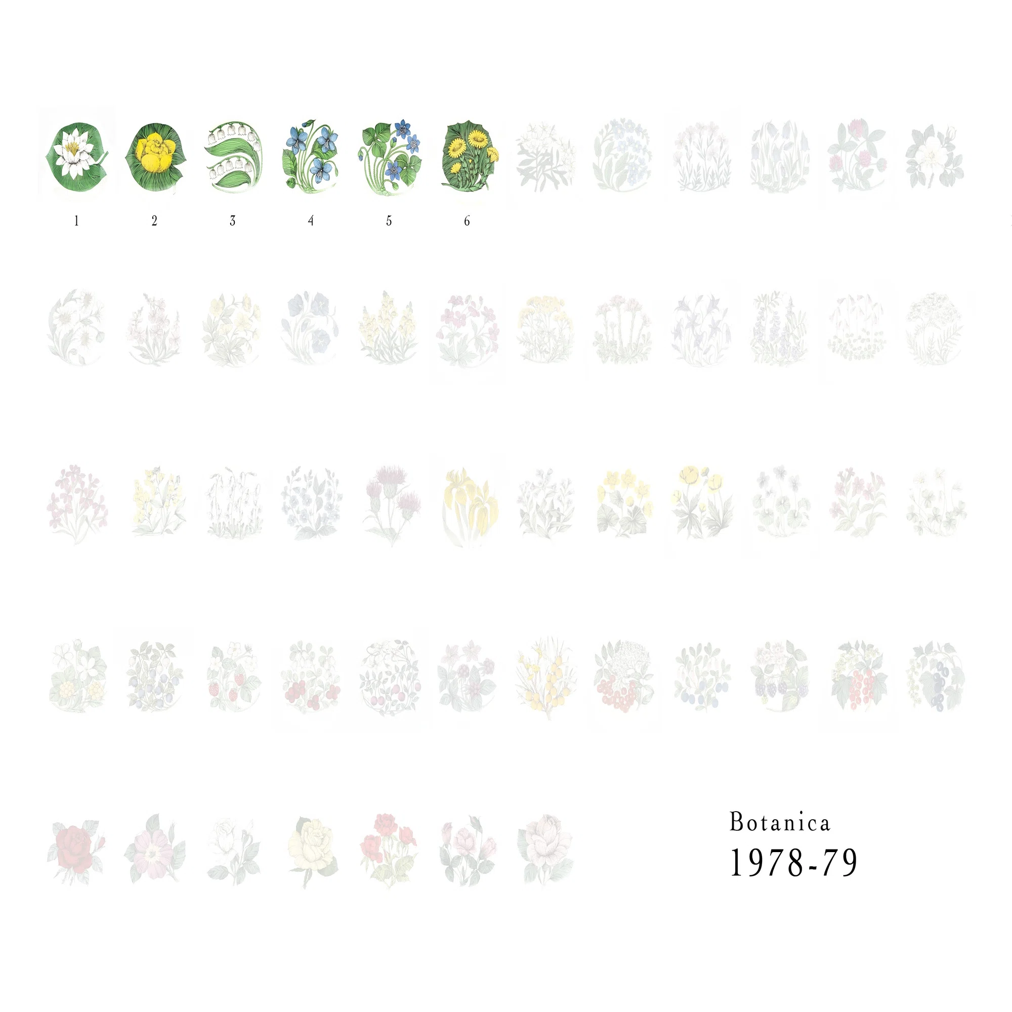 Botanicaシリーズ｜lumikka