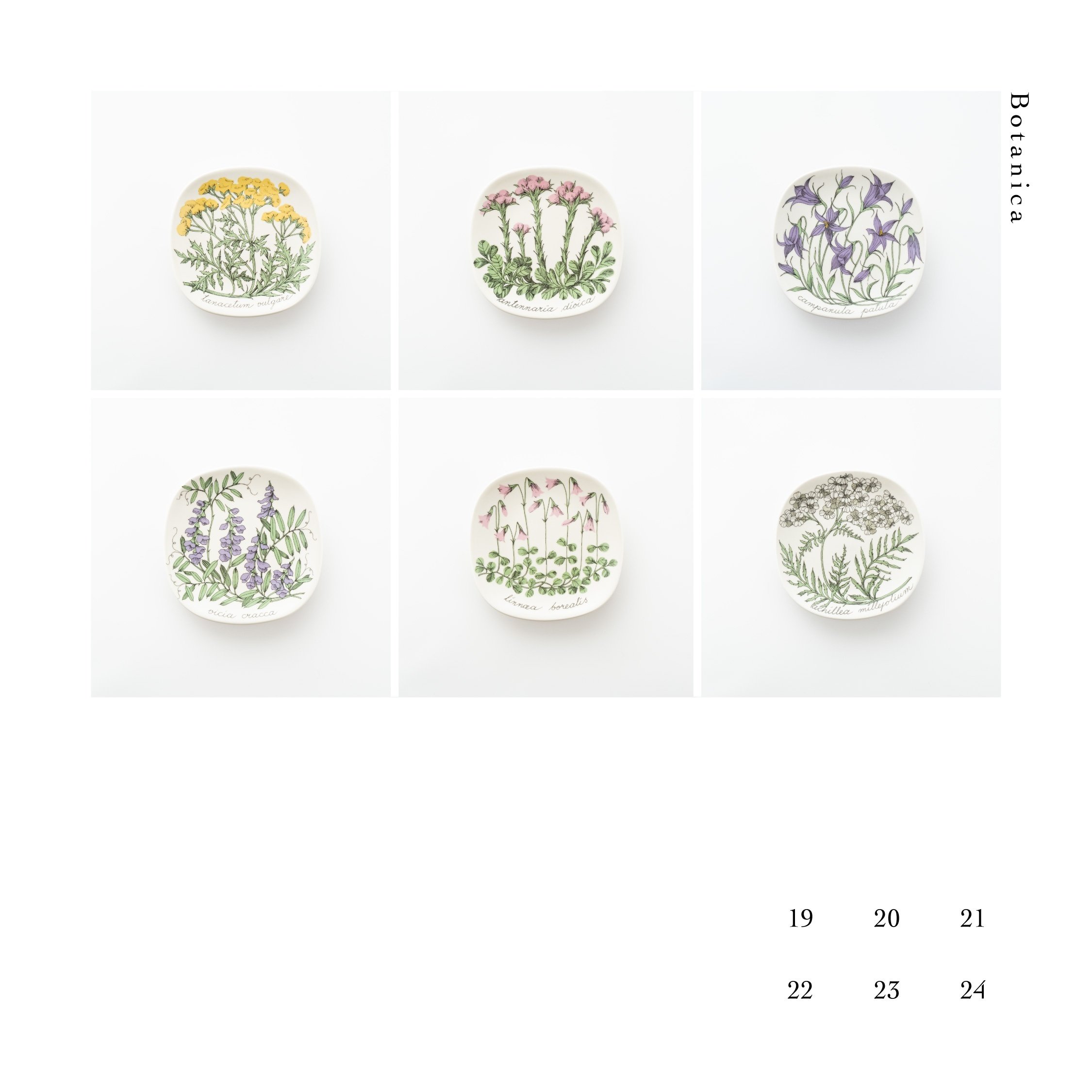 Botanicaシリーズ｜lumikka