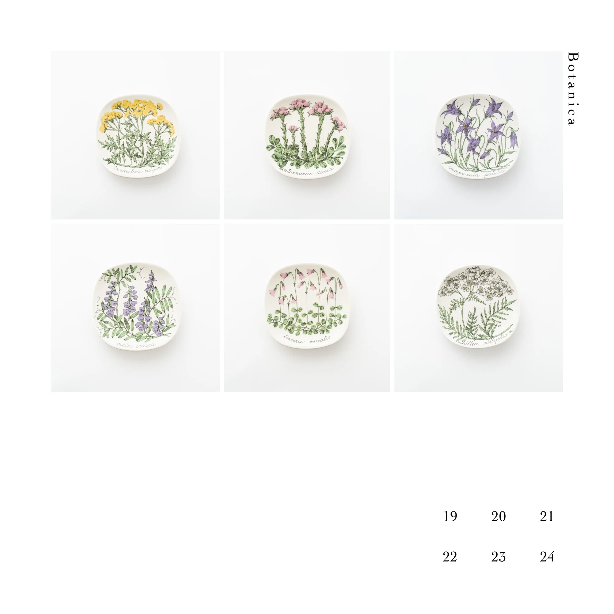 Botanicaシリーズ｜lumikka