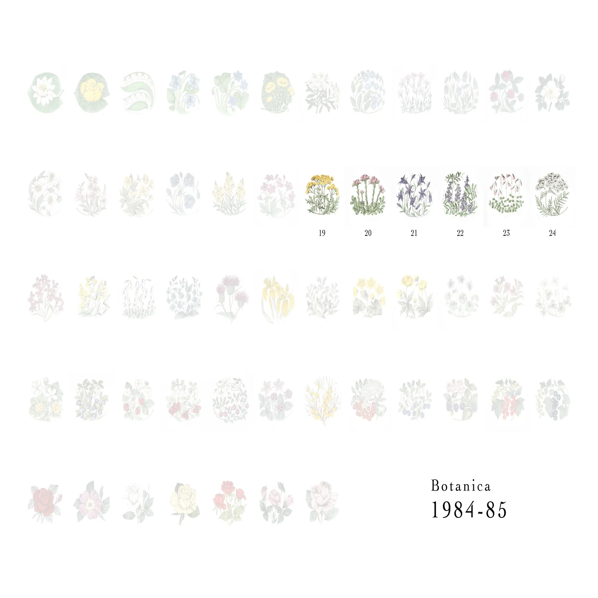 Botanicaシリーズ｜lumikka