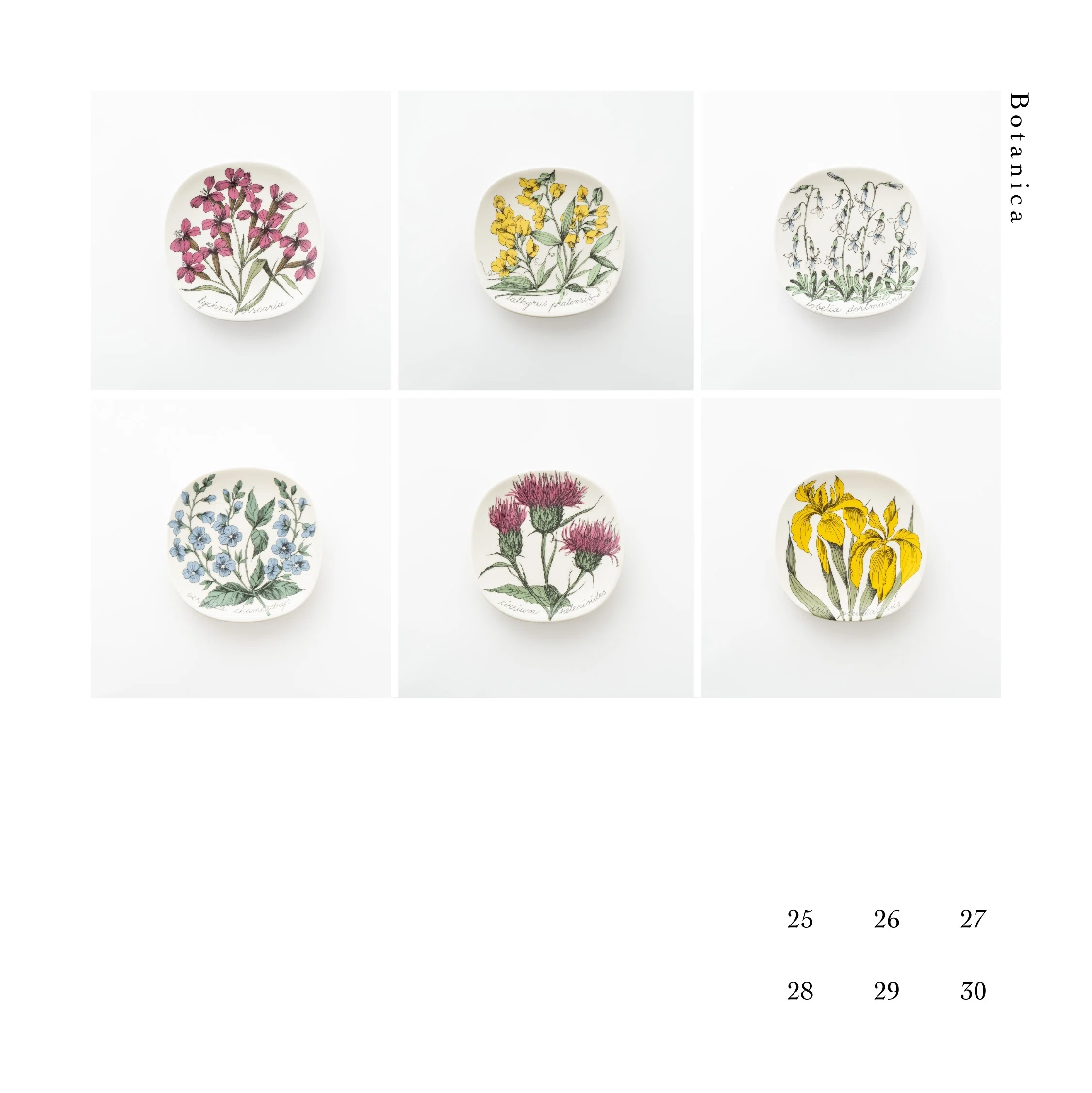 Botanicaシリーズ｜lumikka