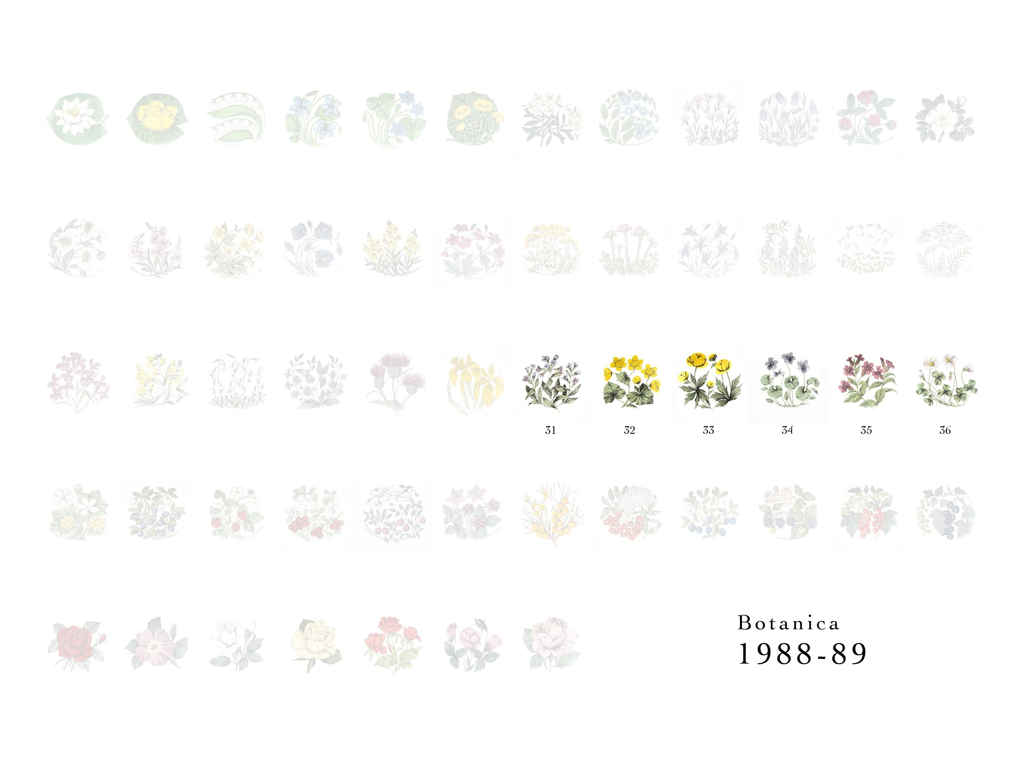 Botanicaシリーズ｜lumikka