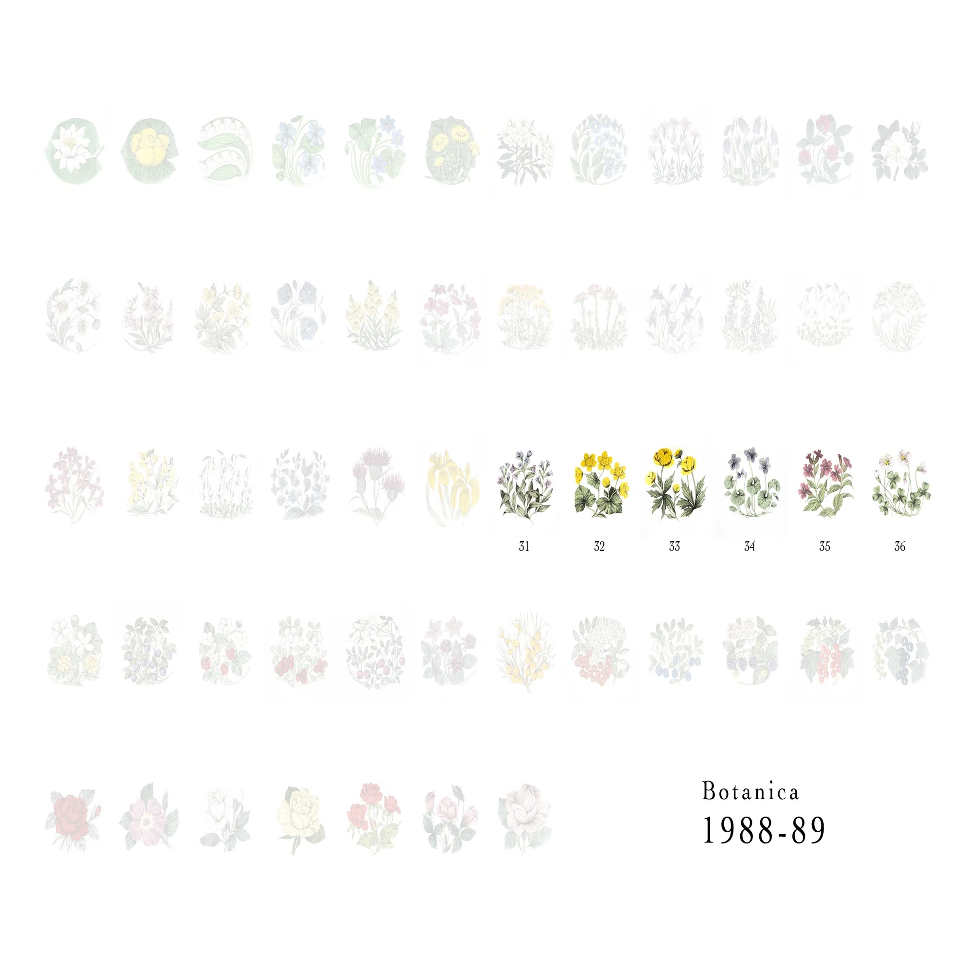 Botanicaシリーズ｜lumikka