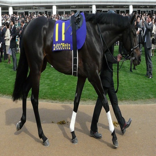 ウマ娘で学ぶ競馬史 30 渇望の果てに 10 マツウラ Note