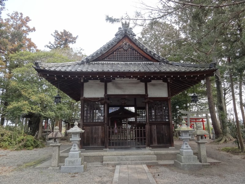 延喜式神名帳「己爾乃神社vs己爾乃神社」木に宿る龍「樹下神社」【湖南シリーズ】