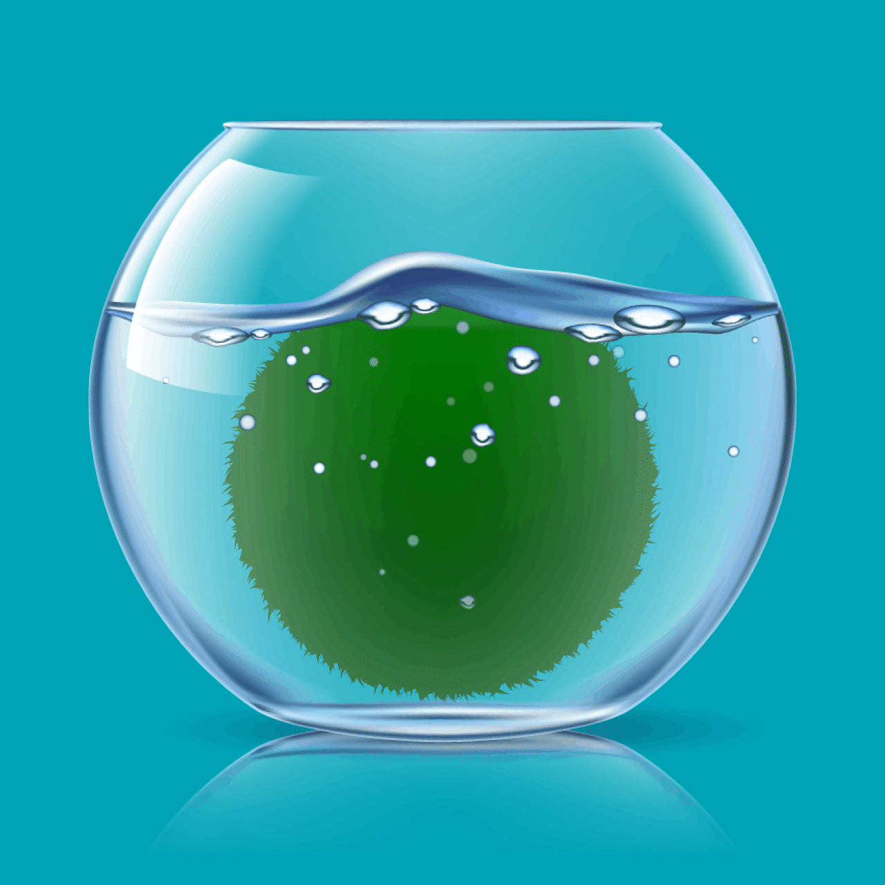 NFTについて考え続けたら、答えは「🟢まりも」になった件について