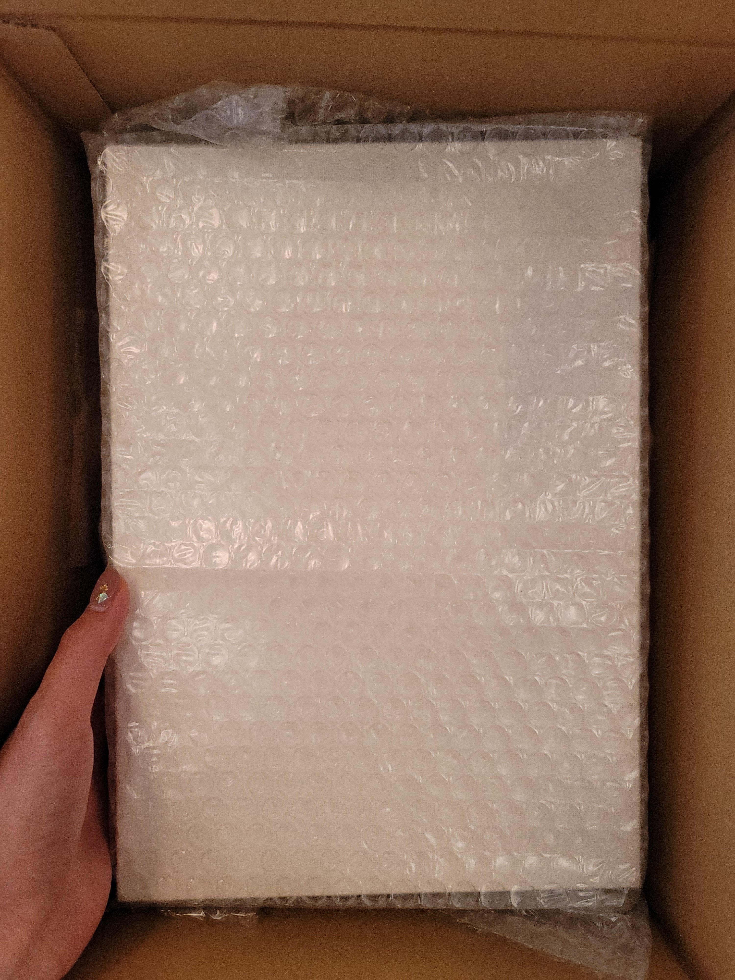 オンラインで！！“とっておきの貝殻コレクションづくり”に参加しました