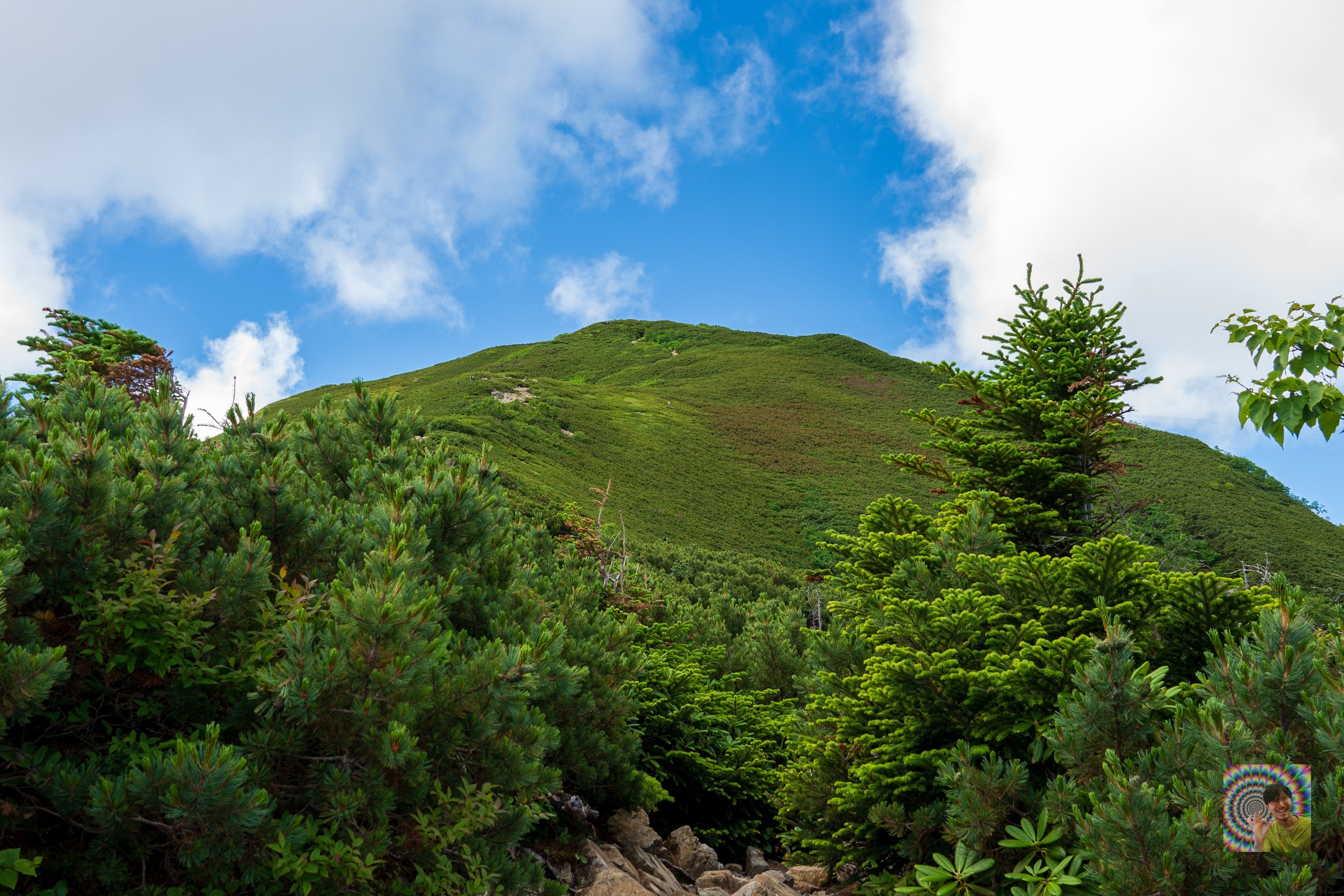 征露岳南武鑑 上 征露岳南武鑑 上 - メルカリ