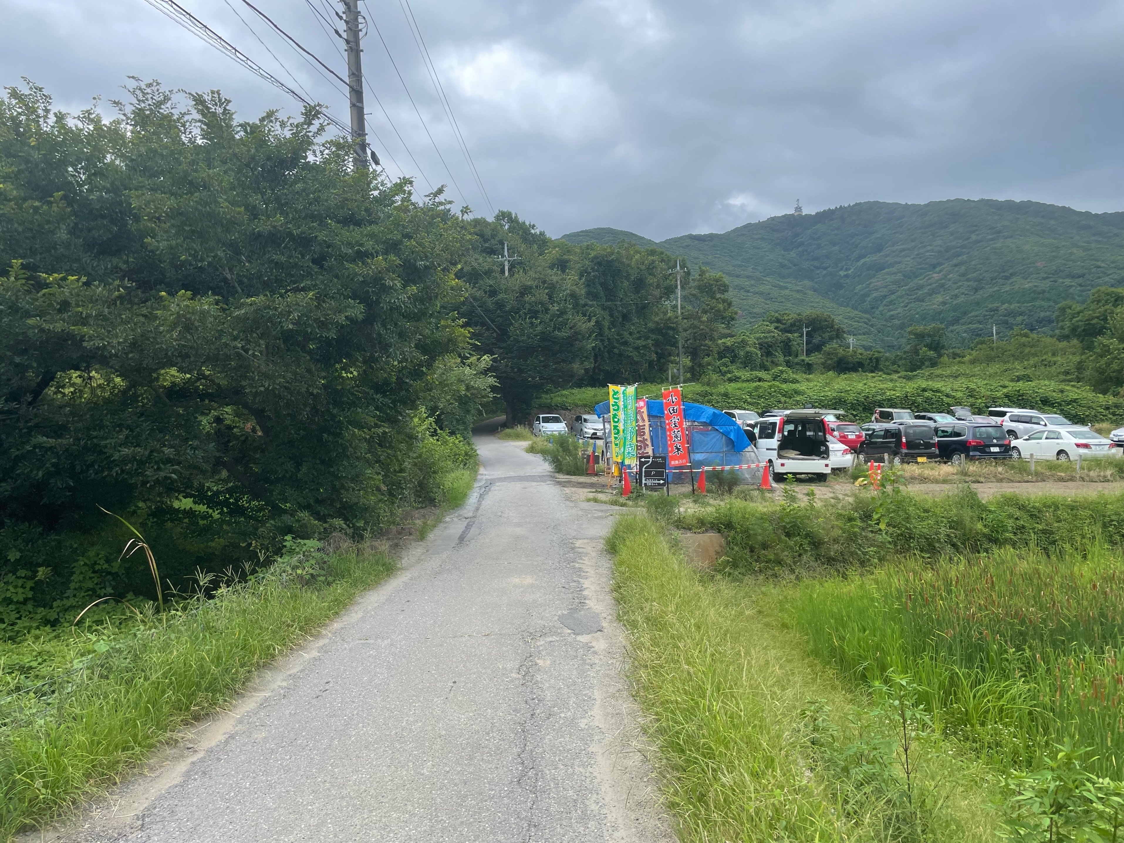 沢伝いに登る宝篋山(小田山)ハイキング〜茨城県つくば市〜｜かわかわ