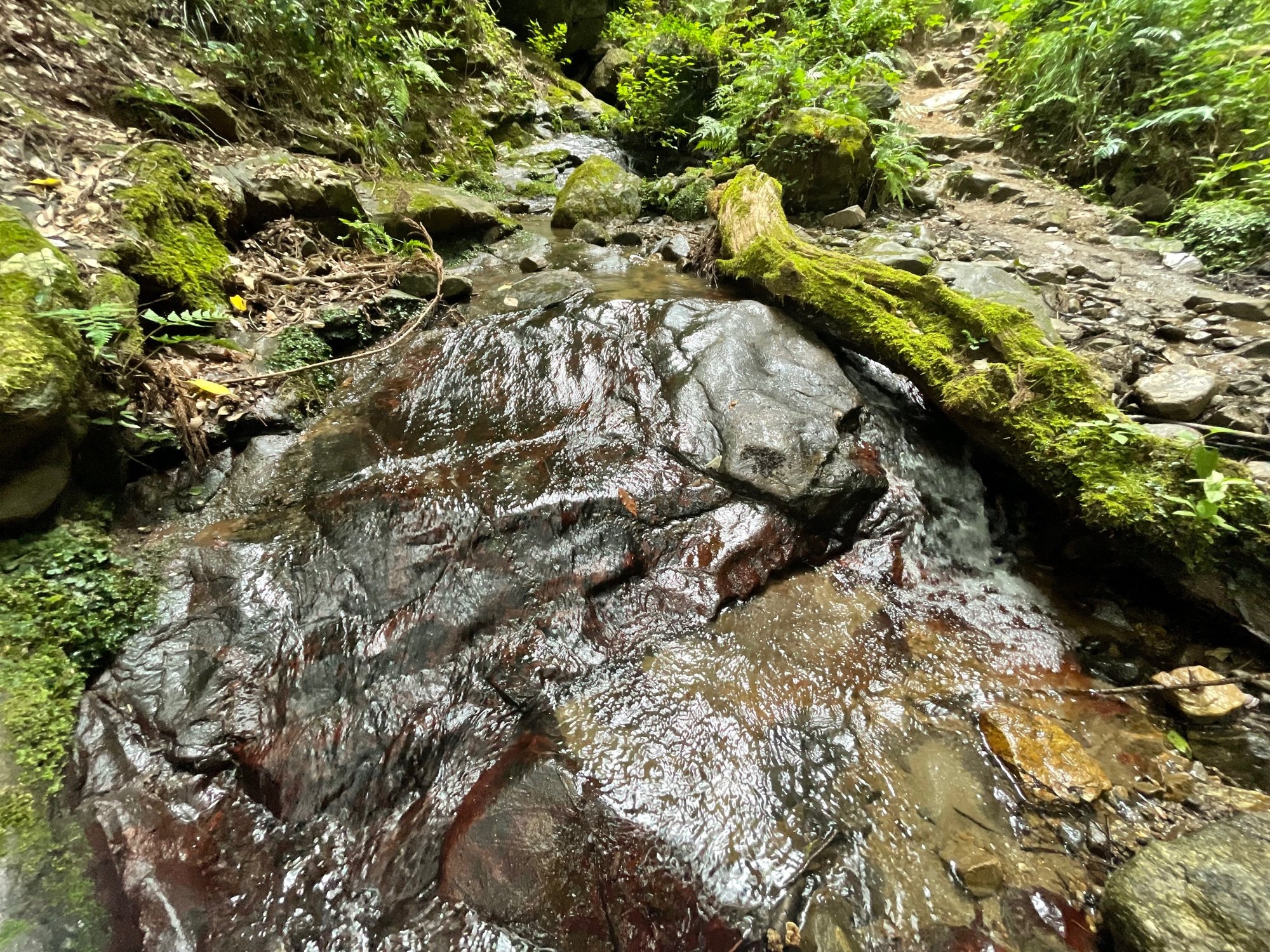 沢伝いに登る宝篋山 小田山 ハイキング 茨城県つくば市 かわかわ Note 沢伝いに登る宝篋山 小田山 ハイキング 茨城県つくば市 かわかわ Note