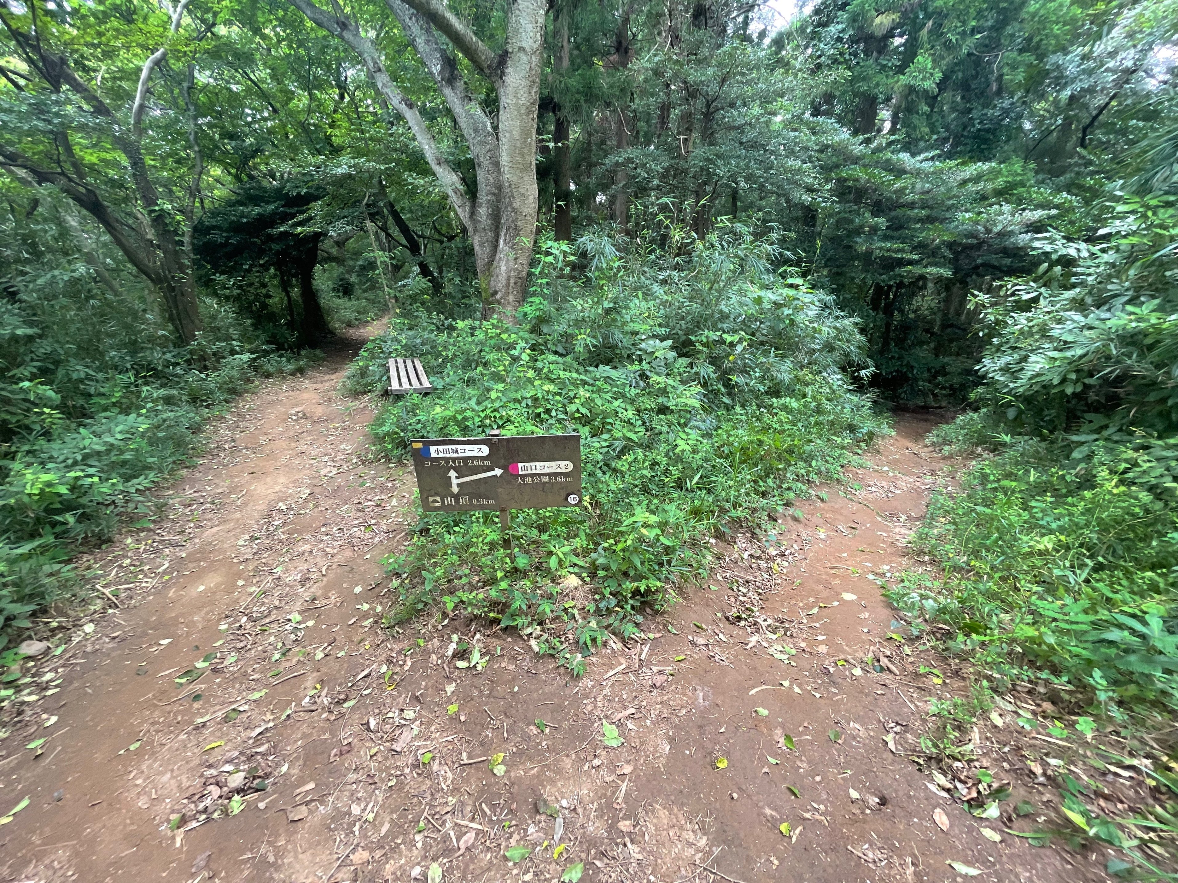 小田山麓を歩く 小田山麓を歩く 筑波山のお隣、宝篋山（ほうきょうさん）｜眺望