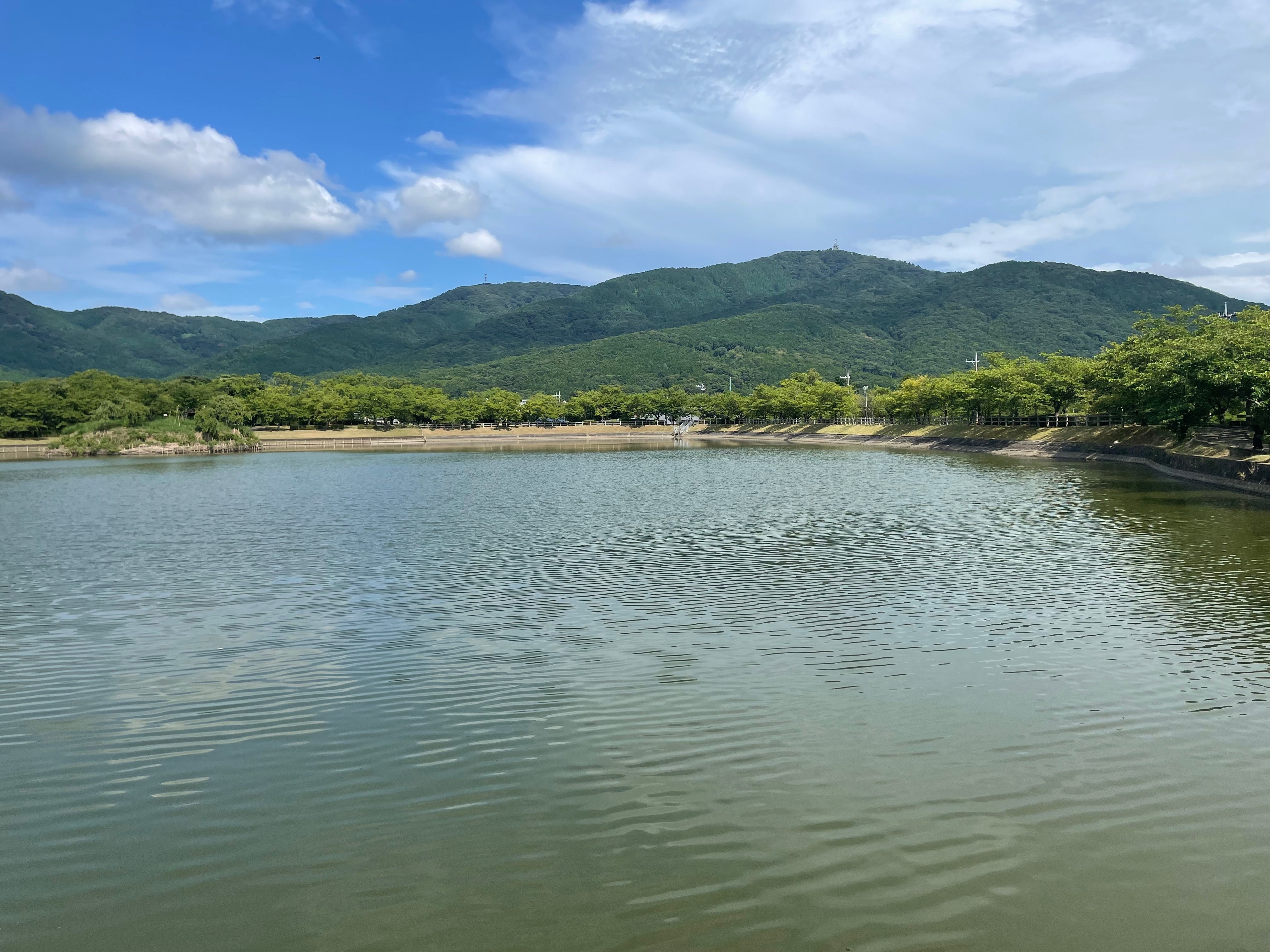 沢伝いに登る宝篋山(小田山)ハイキング〜茨城県つくば市〜｜かわかわ