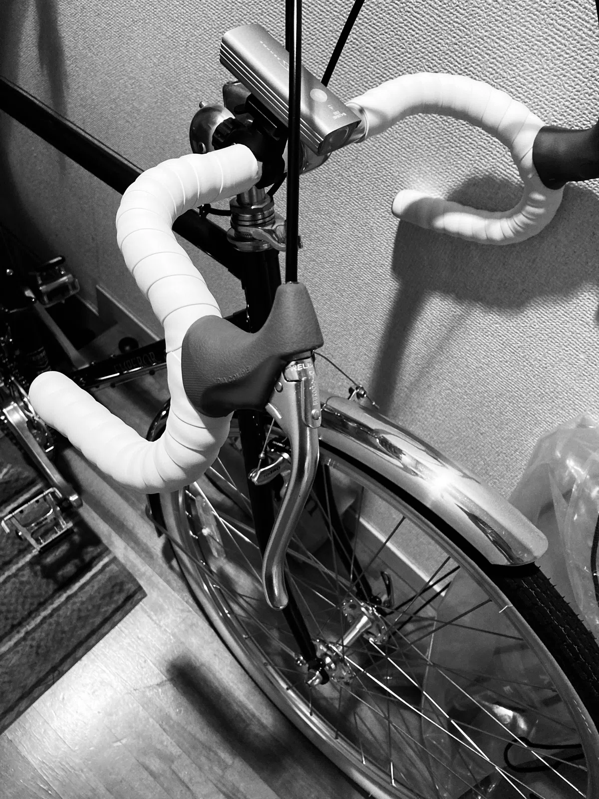 ヒラメ ランドナー （先日ランドナー自転車を買いました。｜城南画報）