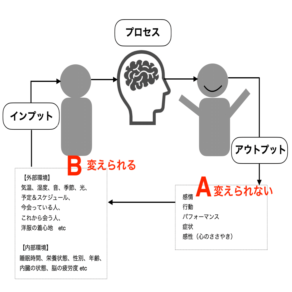 24 インプットの仕方を変えるとアウトプットが変わる 2 動作学 Note