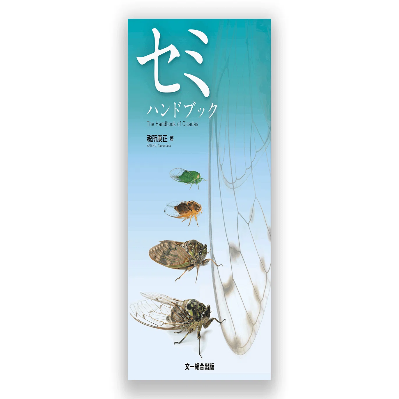 夏休みの自由研究におすすめ セミのぬけがら調べ｜ブンイチ（文一総合