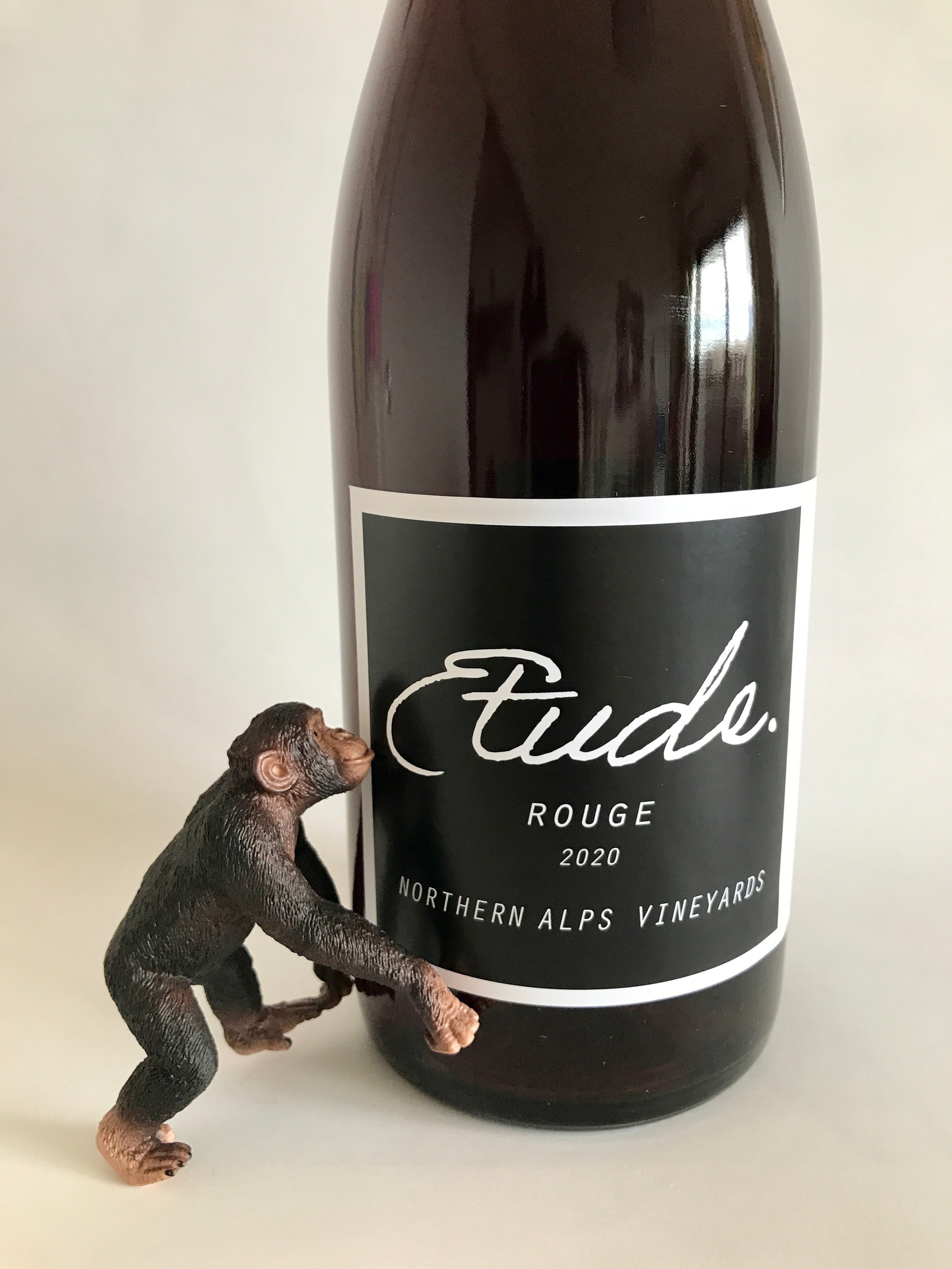 2022年8月9日 NEW WINES リリースです⭐︎｜ノーザンアルプスヴィンヤード