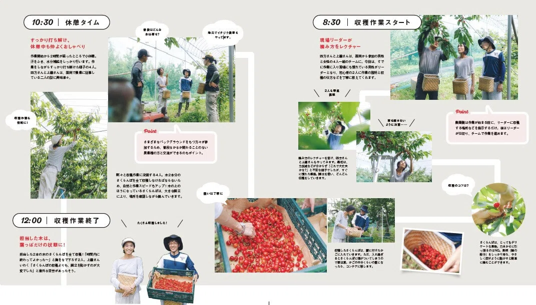 さくらんぼさん確認画面 おぞましい
