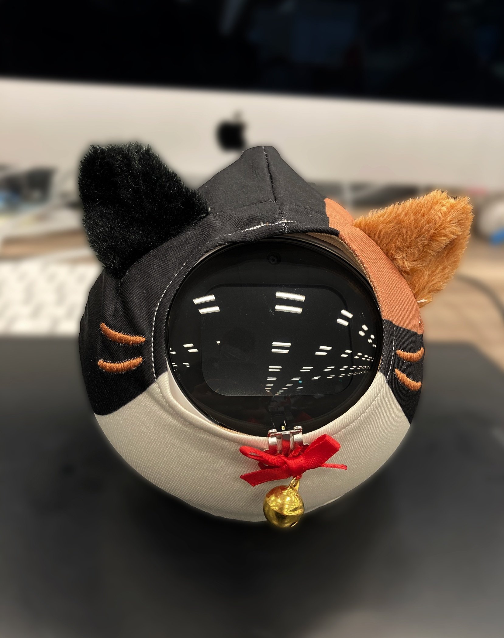 Romi ロボット本体+公式きせかえ ぽんぽん帽子2種類 Romi ロボット本体