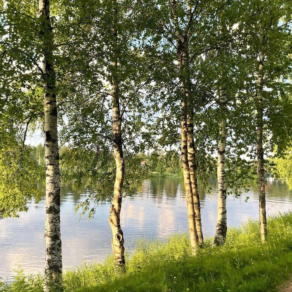 Lifestyle｜フィンランドのクリエーター図鑑 〈02.モニカ