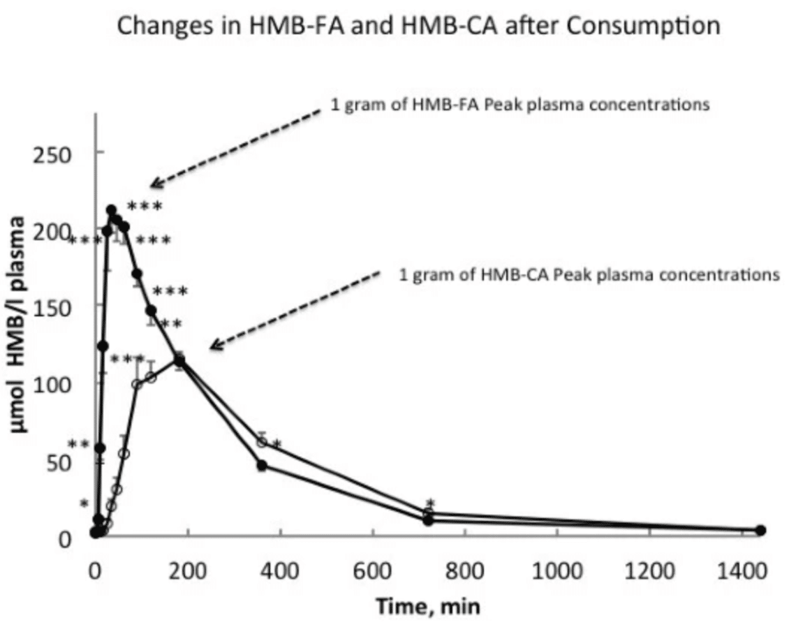 １ｇのHMB-CAとHMB-CAを摂取した時の血中濃度の変化