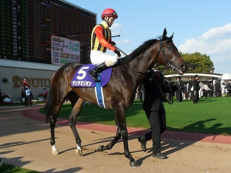 ウマ娘で学ぶ競馬史 #30 渇望の果てに (2010)｜マツウラ