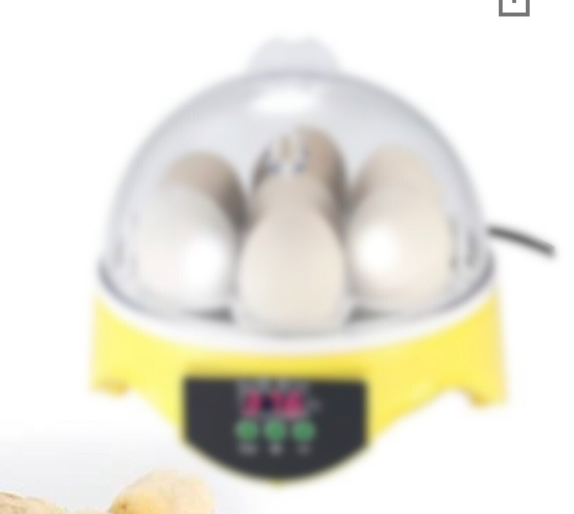 孵卵器