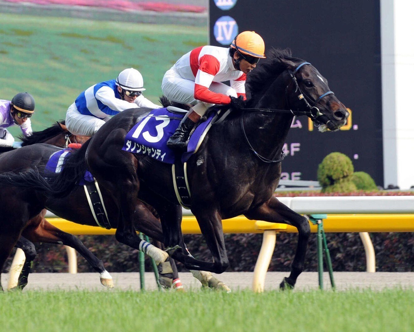 アパパネ❗️2010現地的中三冠馬券コレクション 馬券買取 - Search / X