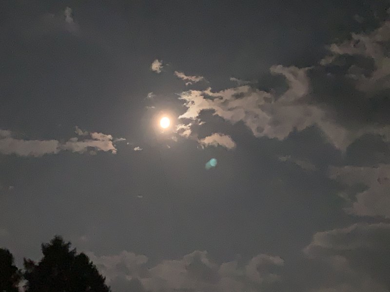 もう数日で満月を迎えるとは！！月日の流れが本当に早い。。タツノオトシゴの様な夜空の雲。辰(龍)の落とし子、すなわち龍の子。