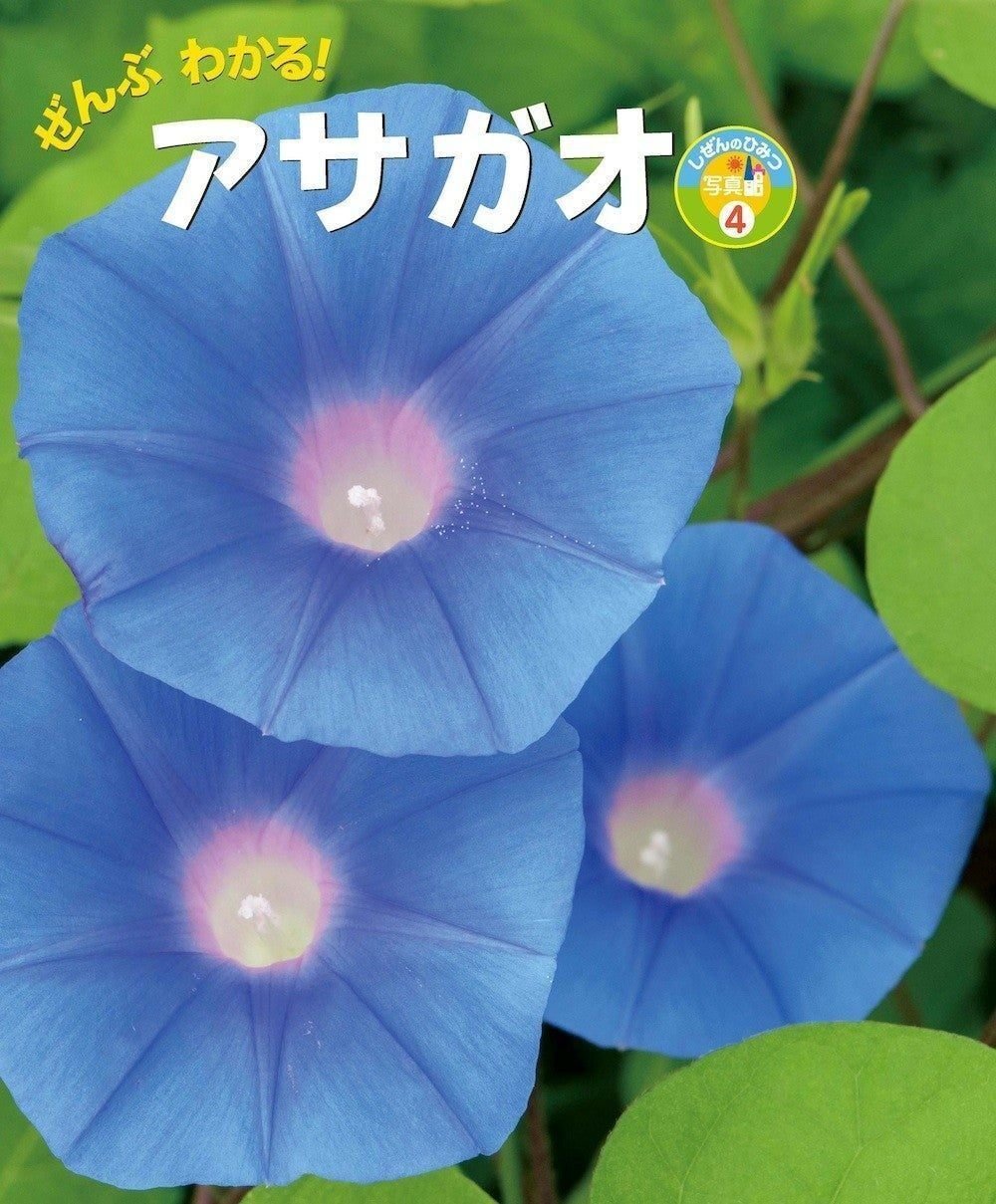 大人の夏休みスペシャル こどもの本とあそぶ休日 2日目 40鉢を越えるアサガオを栽培中の編集者が選んだのはコレ ぜんぶわかる アサガオ ポプラ社 こどもの本編集部 Note 大人の夏休みスペシャル こどもの本とあそぶ休日 2日目 40鉢を越えるアサガオを栽培中の編集者が選んだのはコレ ぜんぶわかる アサガオ ポプラ社 こどもの本編集部 Note
