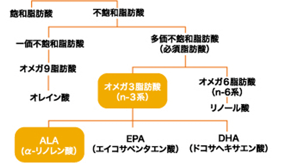 脂質の区別