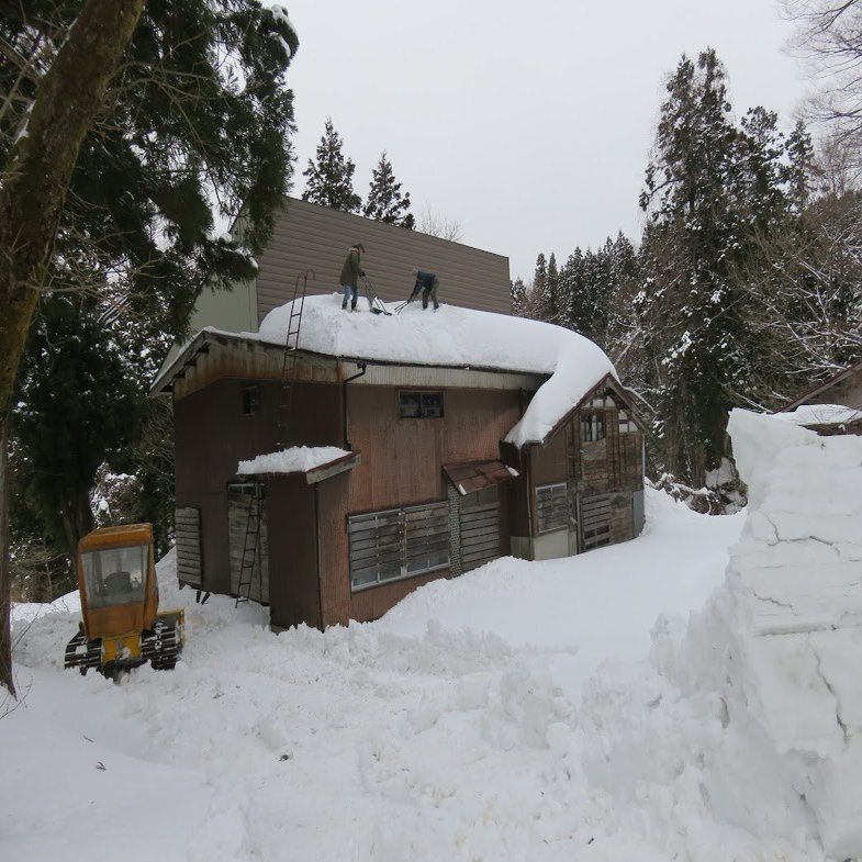 古民家リノベ とにかく 雪 ふくよかなネコたち Note