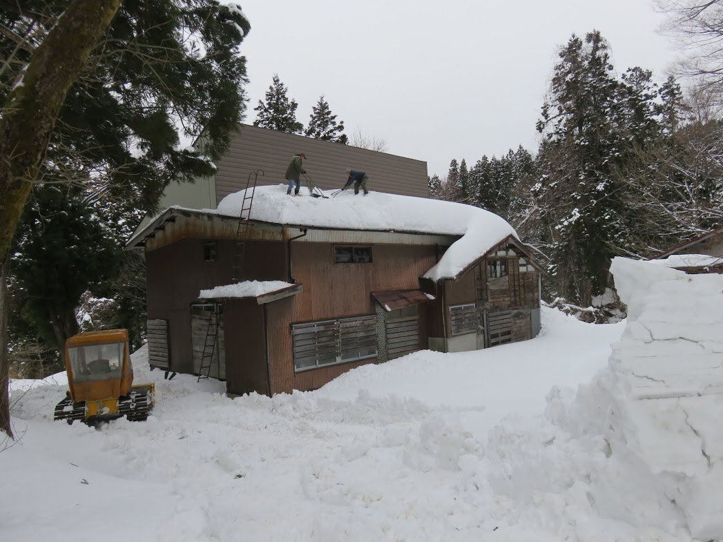 古民家リノベ とにかく 雪 ふくよかなネコたち Note 古民家リノベ とにかく 雪 ふくよかなネコたち Note