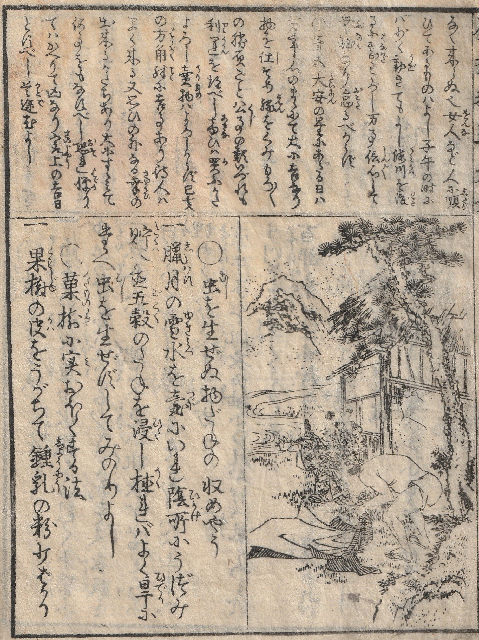 果物がたくさん実る方法とは？江戸時代の古文書『廣益秘事大全』解読⑫