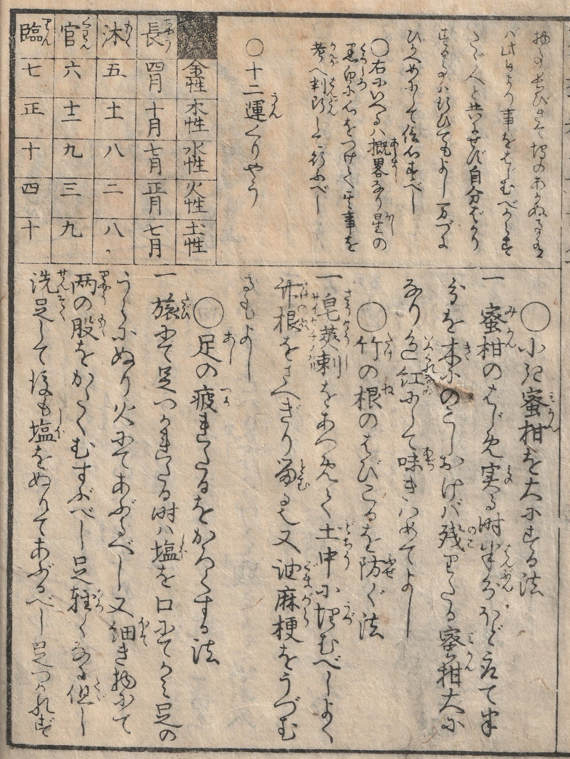 果物がたくさん実る方法とは？江戸時代の古文書『廣益秘事大全』解読⑫