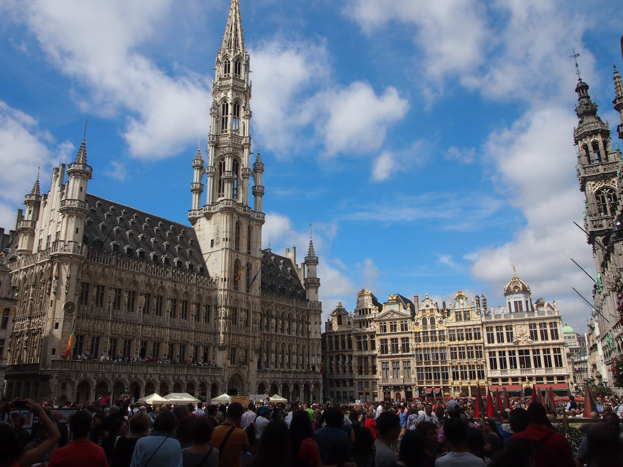 街が花で埋まる日 ブリュッセル Zak Note 街が花で埋まる日 ブリュッセル Zak Note