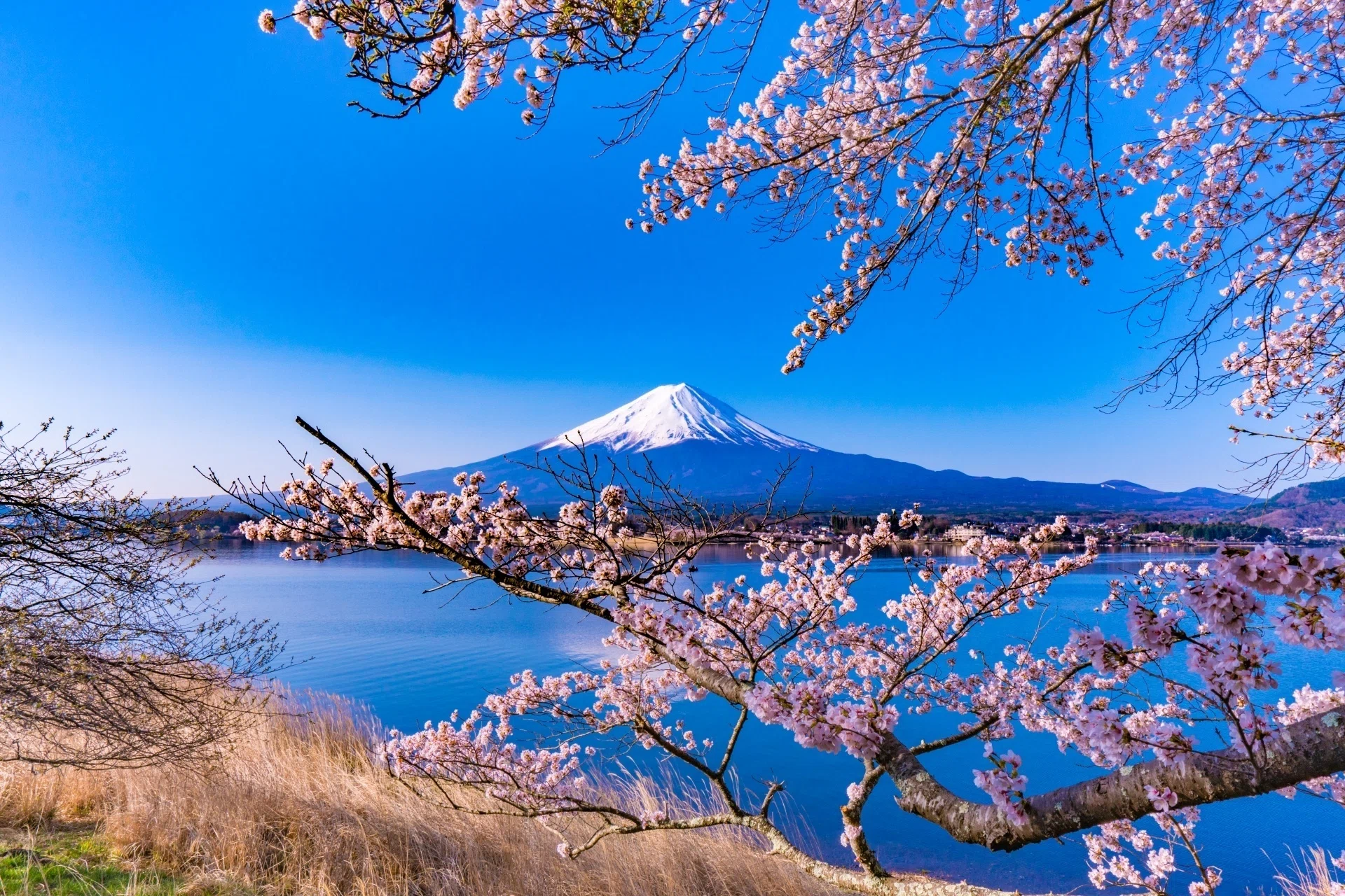 山の日”なので「日本百名山」についてご紹介｜セレステ